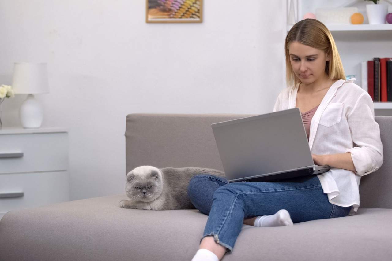 ¿Cómo ayuda el Software veterinario en el día a día de las clínicas? Mejor opción Petclinic