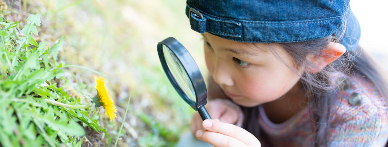 Conocimientoinfinito: el perfil diseñado para destapar curiosidades y mitos