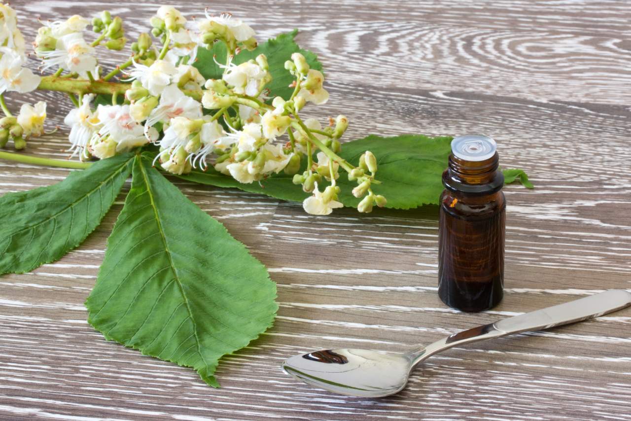 La terapia floral Flores de Bach para vivir mejor