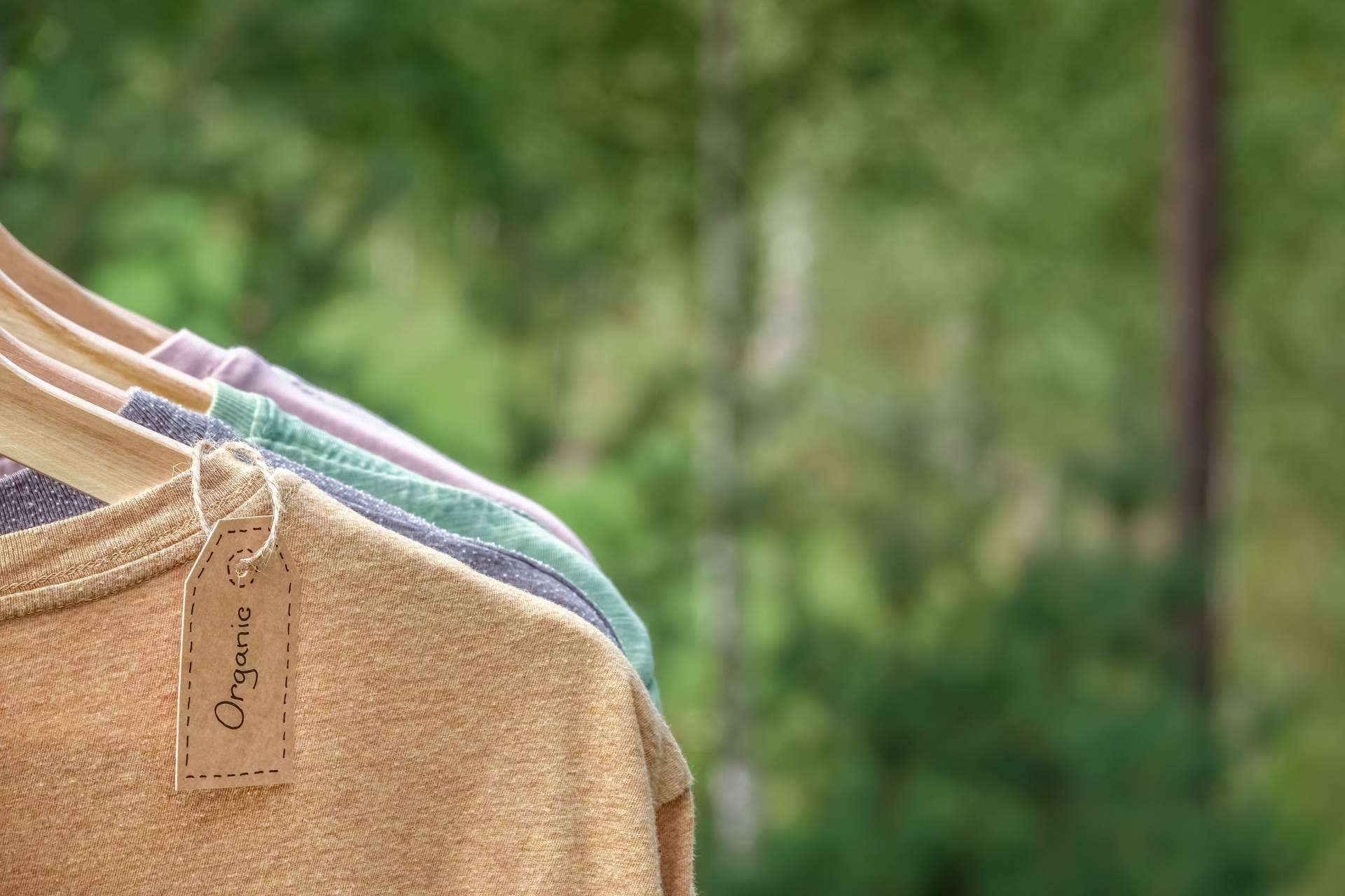 Who killed Bambi? se consolida como una de las líderes del sector de la moda por su apuesta por las marcas punteras