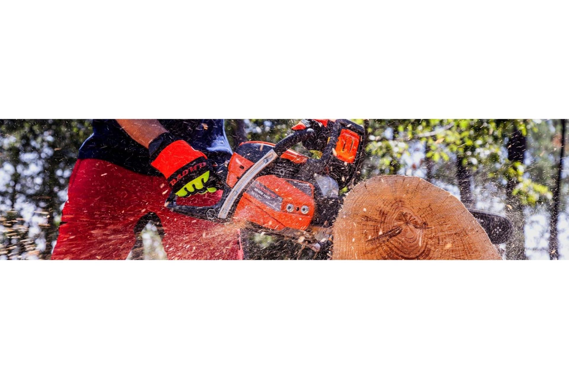 Motosierras Anova a precios rebajados en la tienda Todo Bosque y Jardín