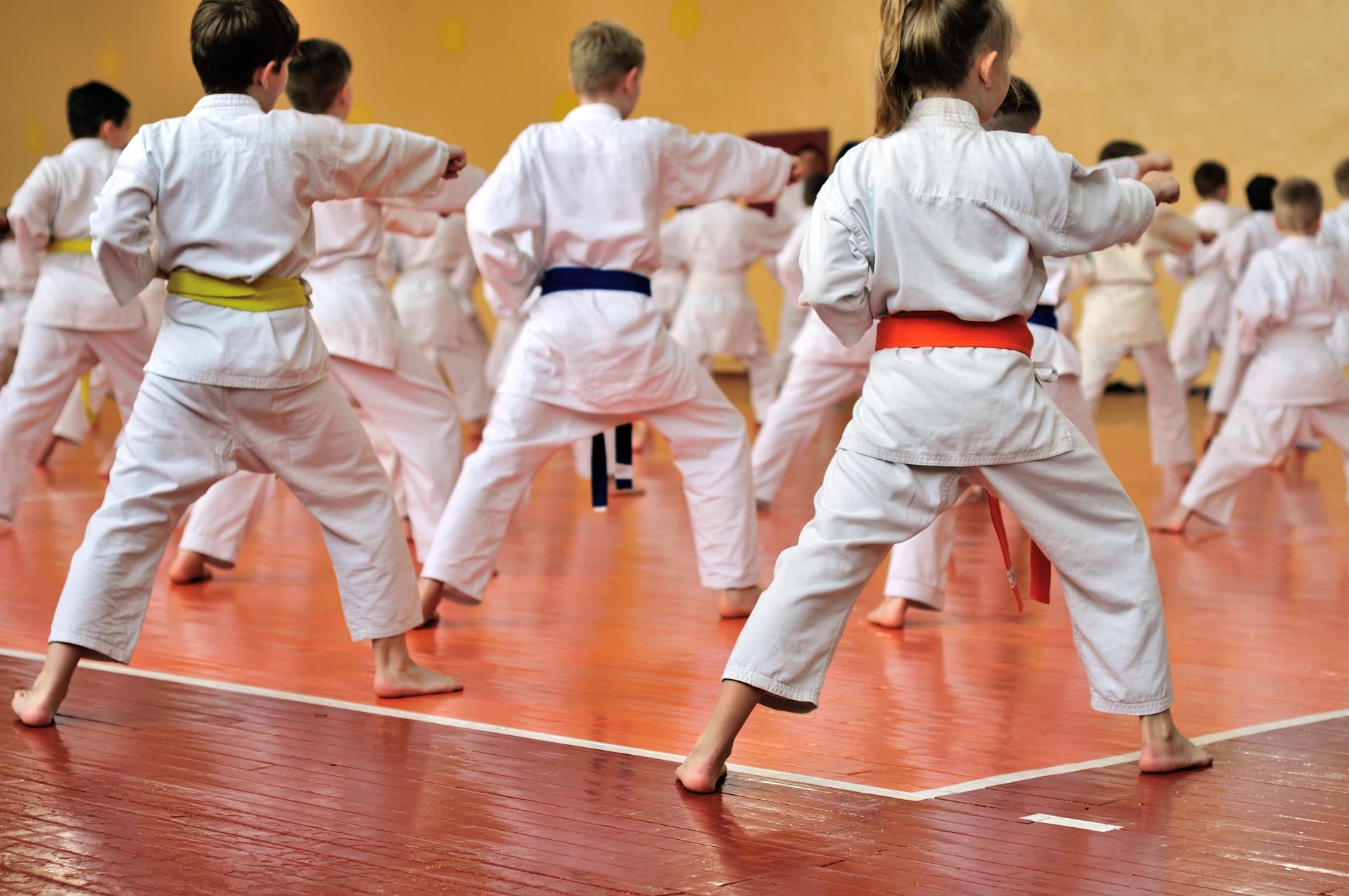 El Dojo, Escuela de Artes Marciales y Kenpo Kai ubicada en Madrid, es elegida como una de las principales opciones como extraescolar