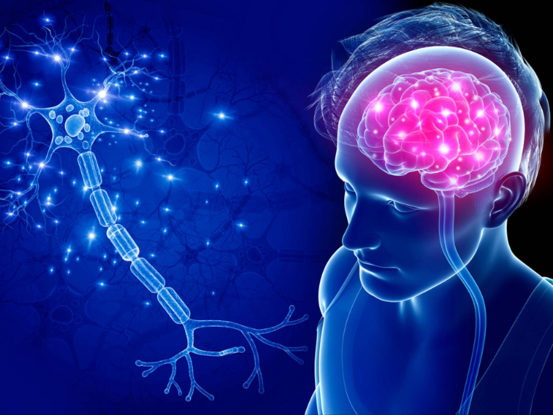 ¿Qué son los Nootrópicos naturales? Nutribiolite dispone de los suplementos que ayudan a mejorar el rendimiento cognitivo sin efectos secundarios