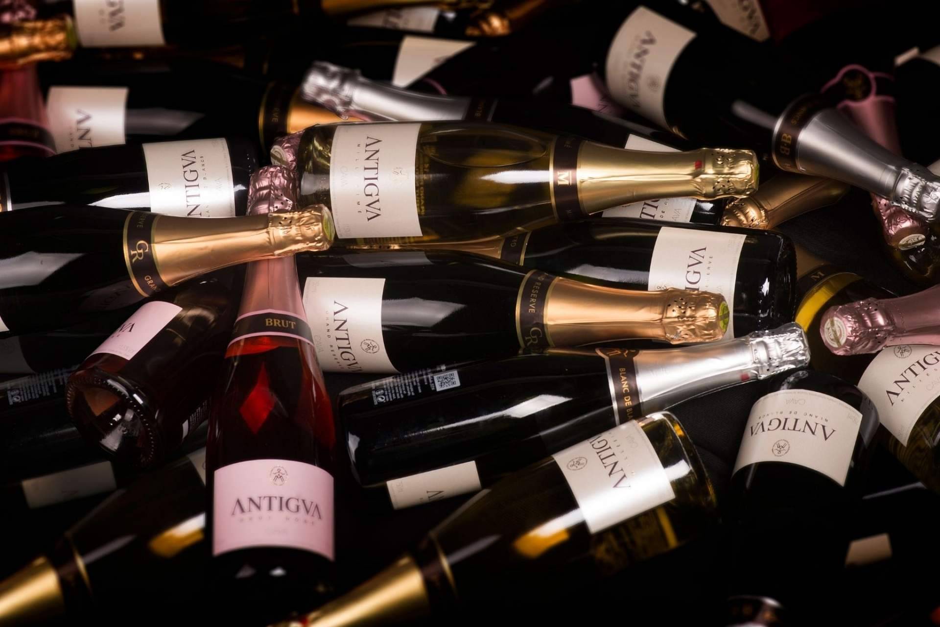 La innovación aportada en el mundo de los vinos por Antigva
