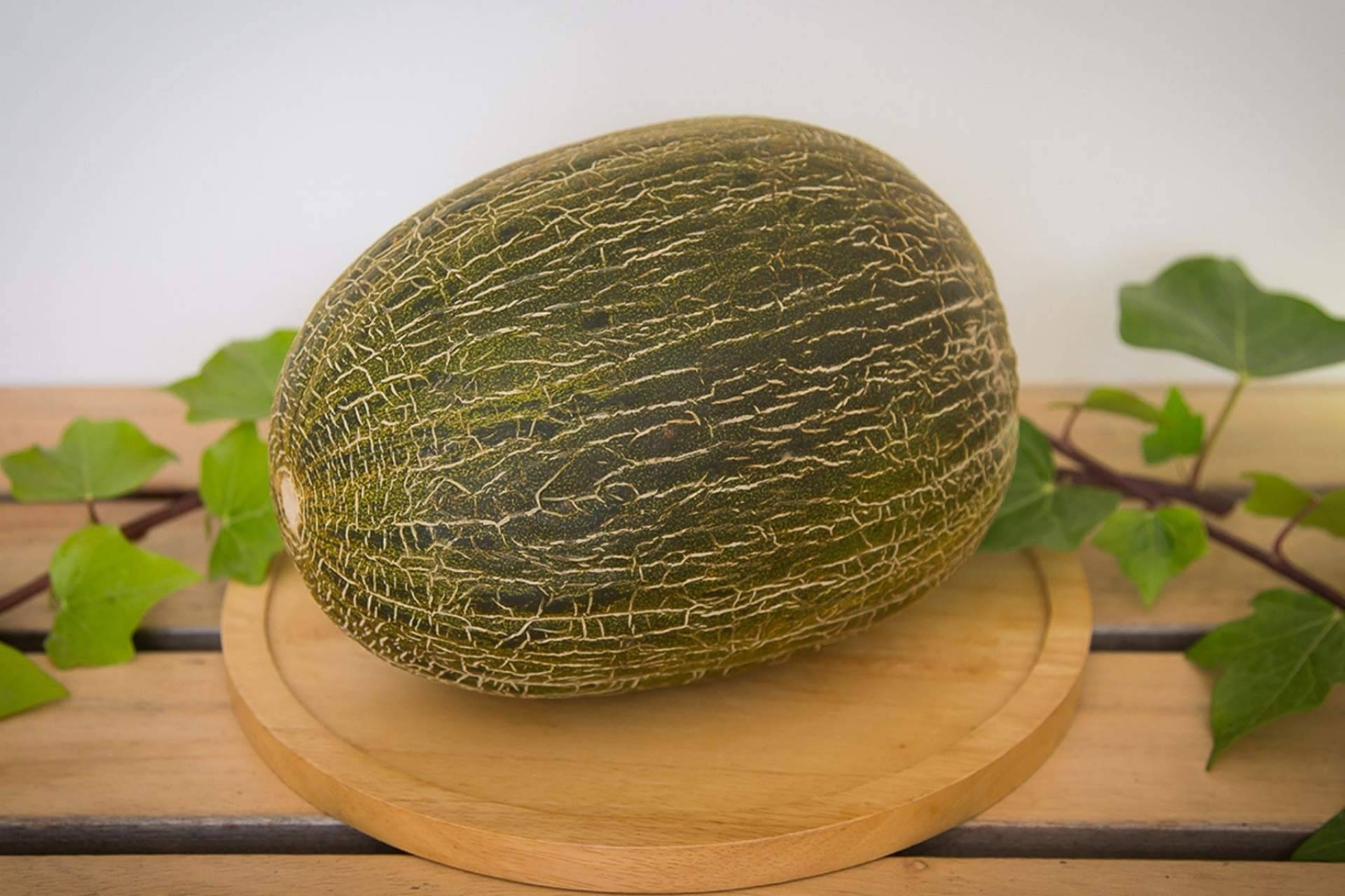 Los melones gourmet de Cítricos y Delicias