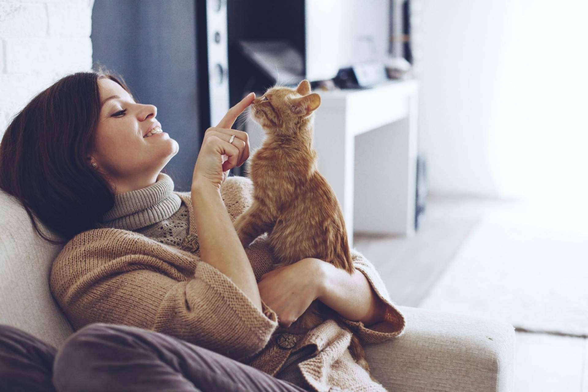 Miwuki Pet Shelter fomenta la adopción en un contexto de abandono de animales tras la pandemia