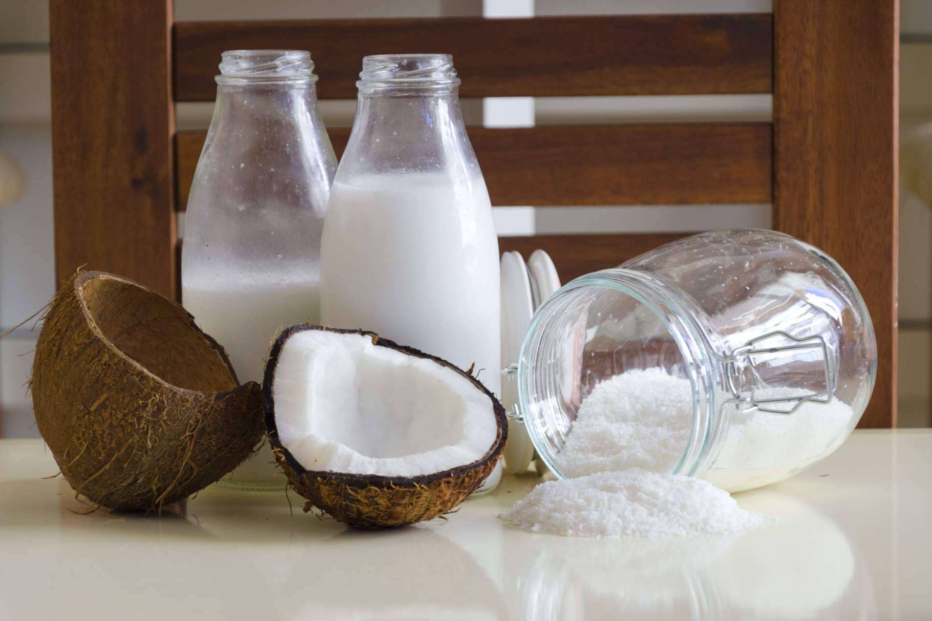 Leche de coco en polvo, el gran producto cautivador de Mediterranean Superfoods
