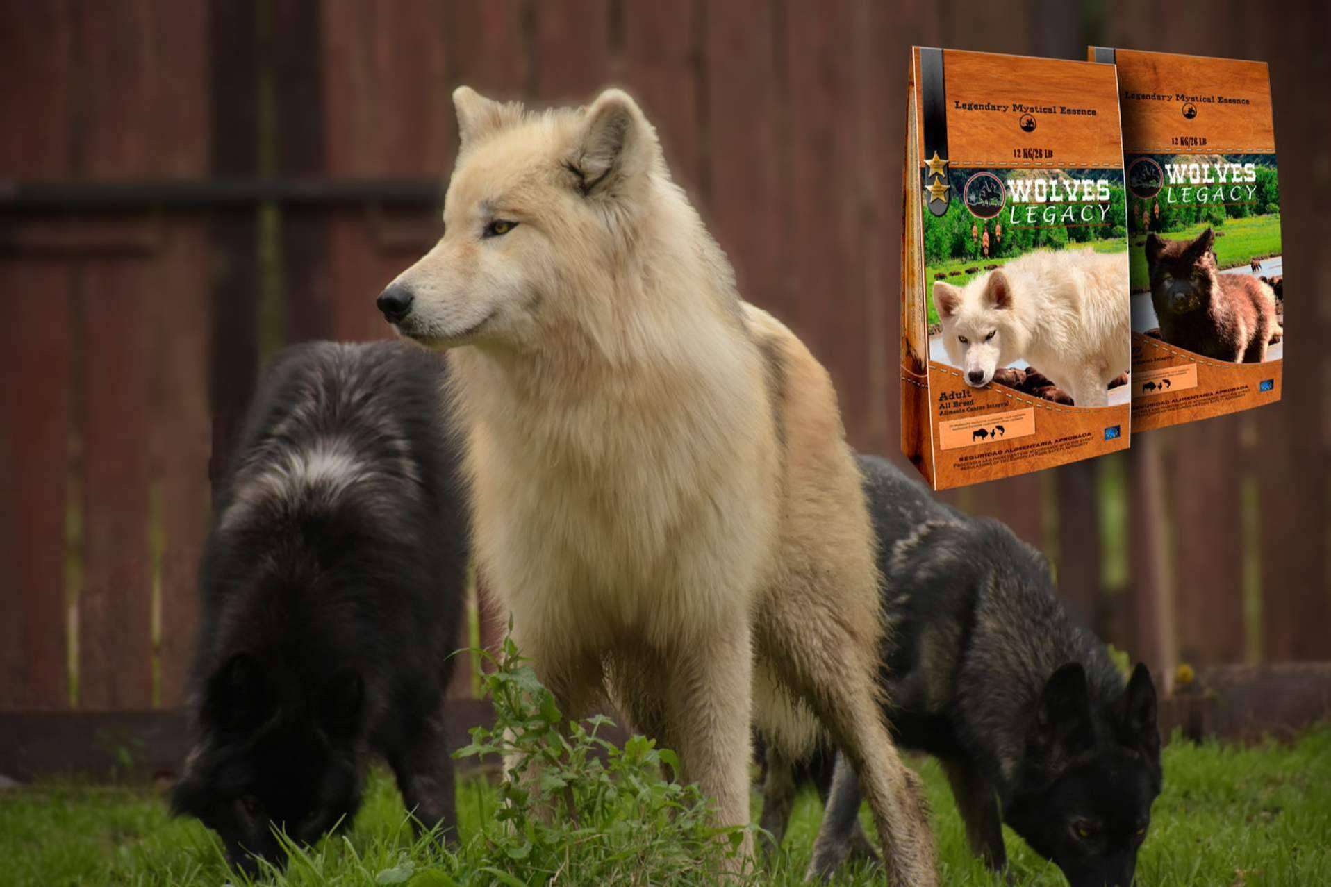 Wolves Legacy: los lobos y perros lobos CRW