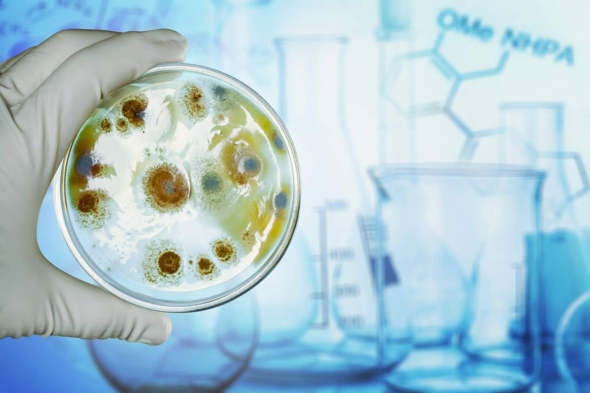 Entrevista a Dr. Fernando Ruger Viarengo, director de la unidad de microbiota intestinal UMEBIR