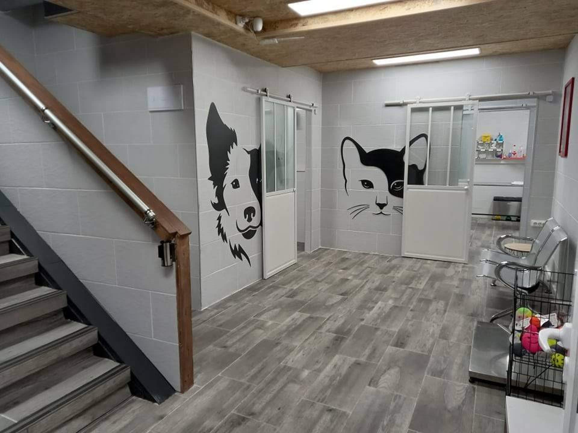 La clínica veterinaria Irún, Amaita Mascota, cuenta con un servicio de urgencias 24 horas