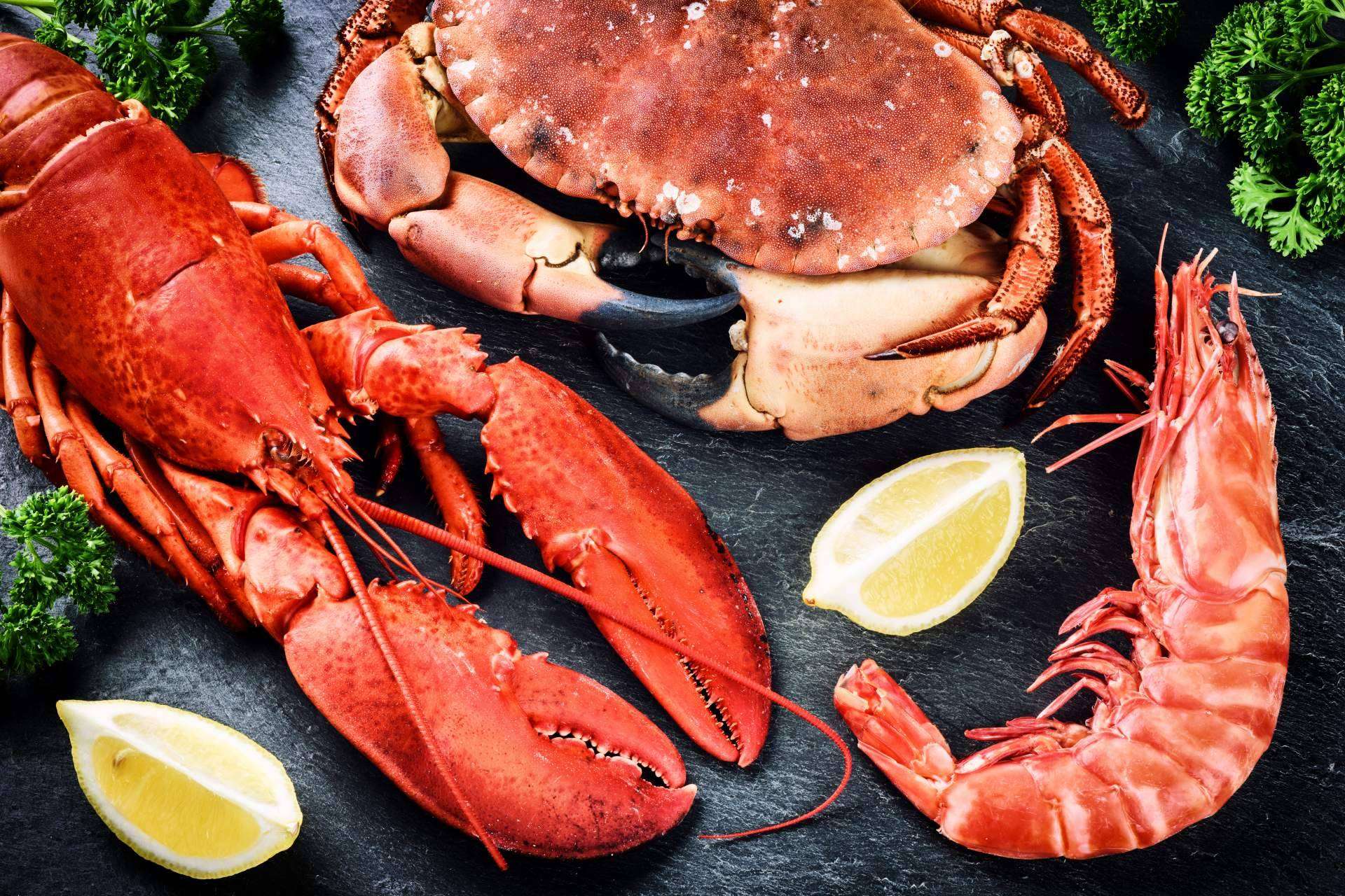 Marisco Galego, una empresa referente en el sector, ofrece un innovador servicio de venta de marisco para restaurantes
