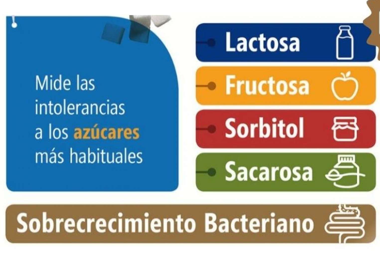 Las intolerancias alimentarias son reversibles gracias a UMEBIR