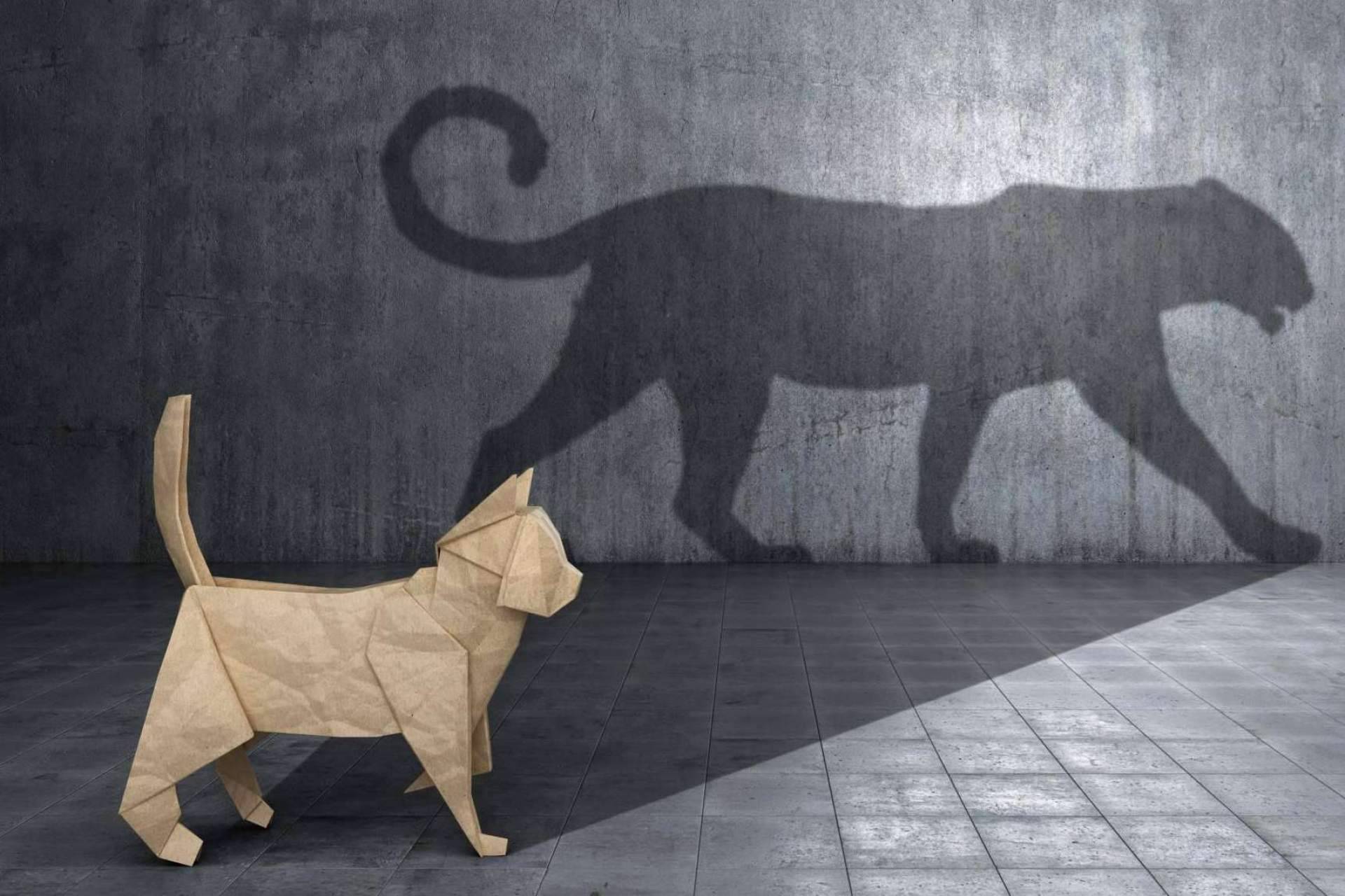 Ejecución de la transformación de empresa con el apoyo de la compañía Manager in Motion