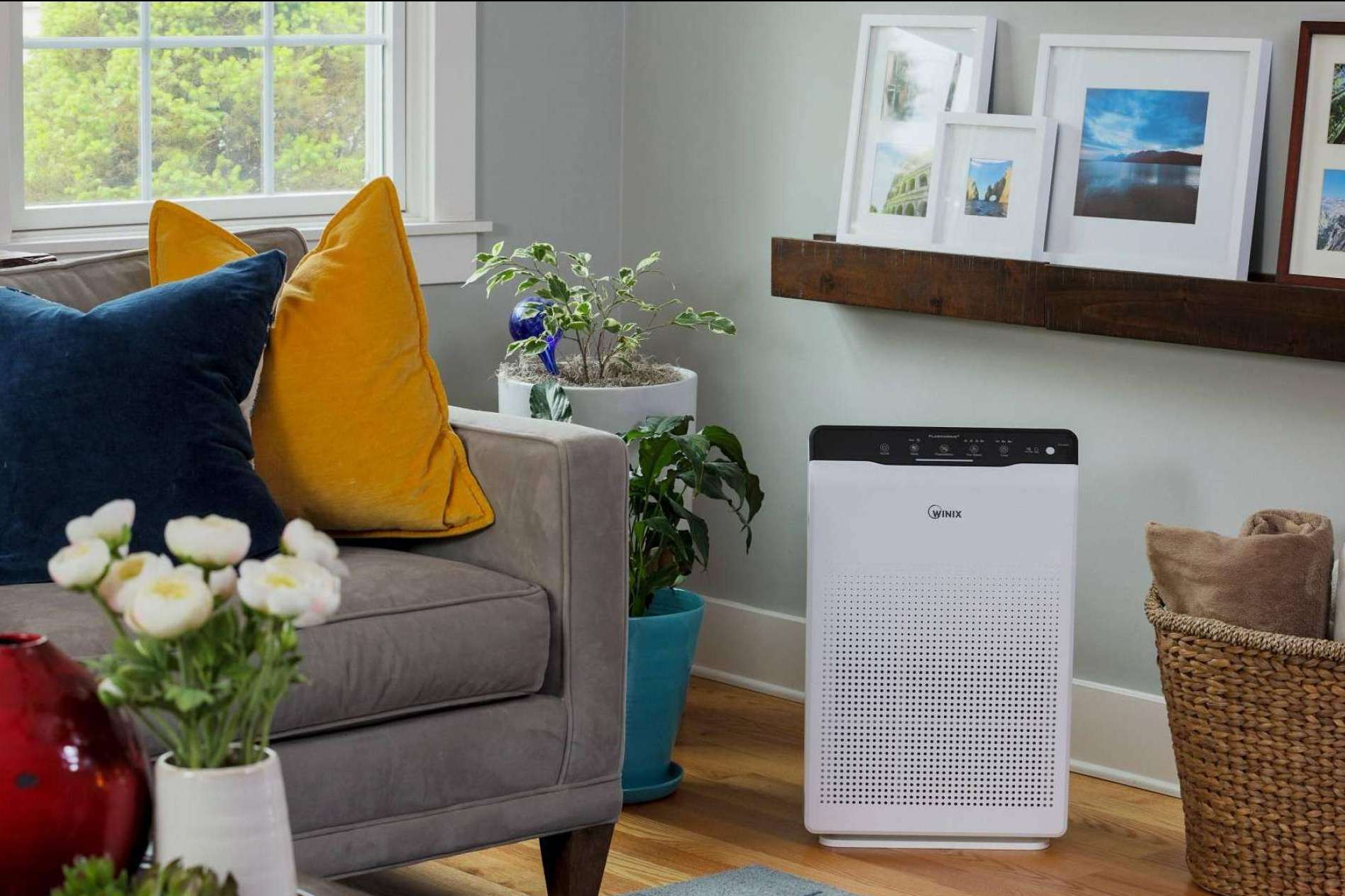 Protect Soiart Distribución: ¿Cuáles son las ventajas de los purificadores WINIX?