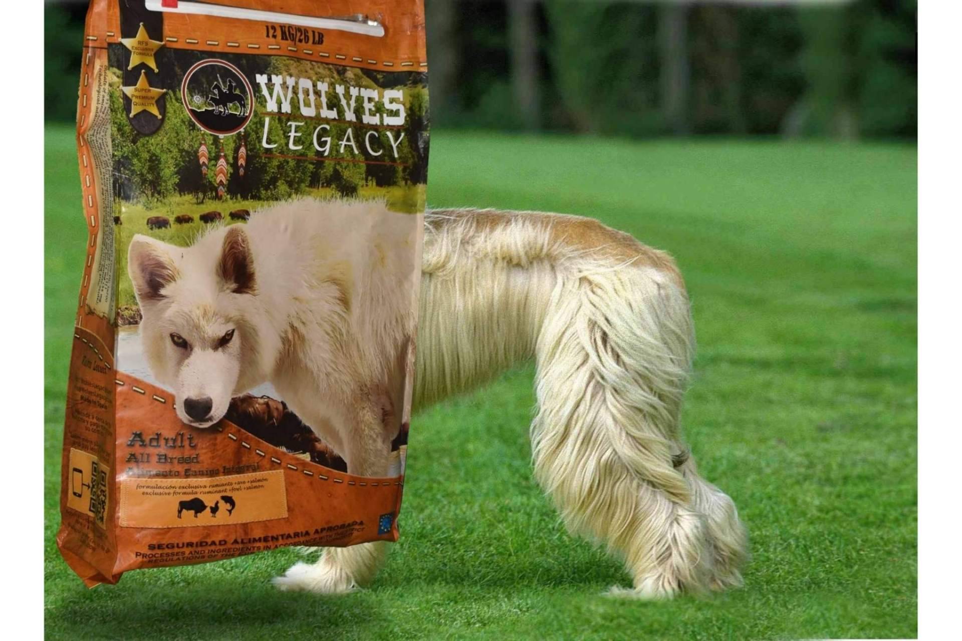 Wolves Legacy: los mejores piensos para perros ¿Tendrían que ser variados?