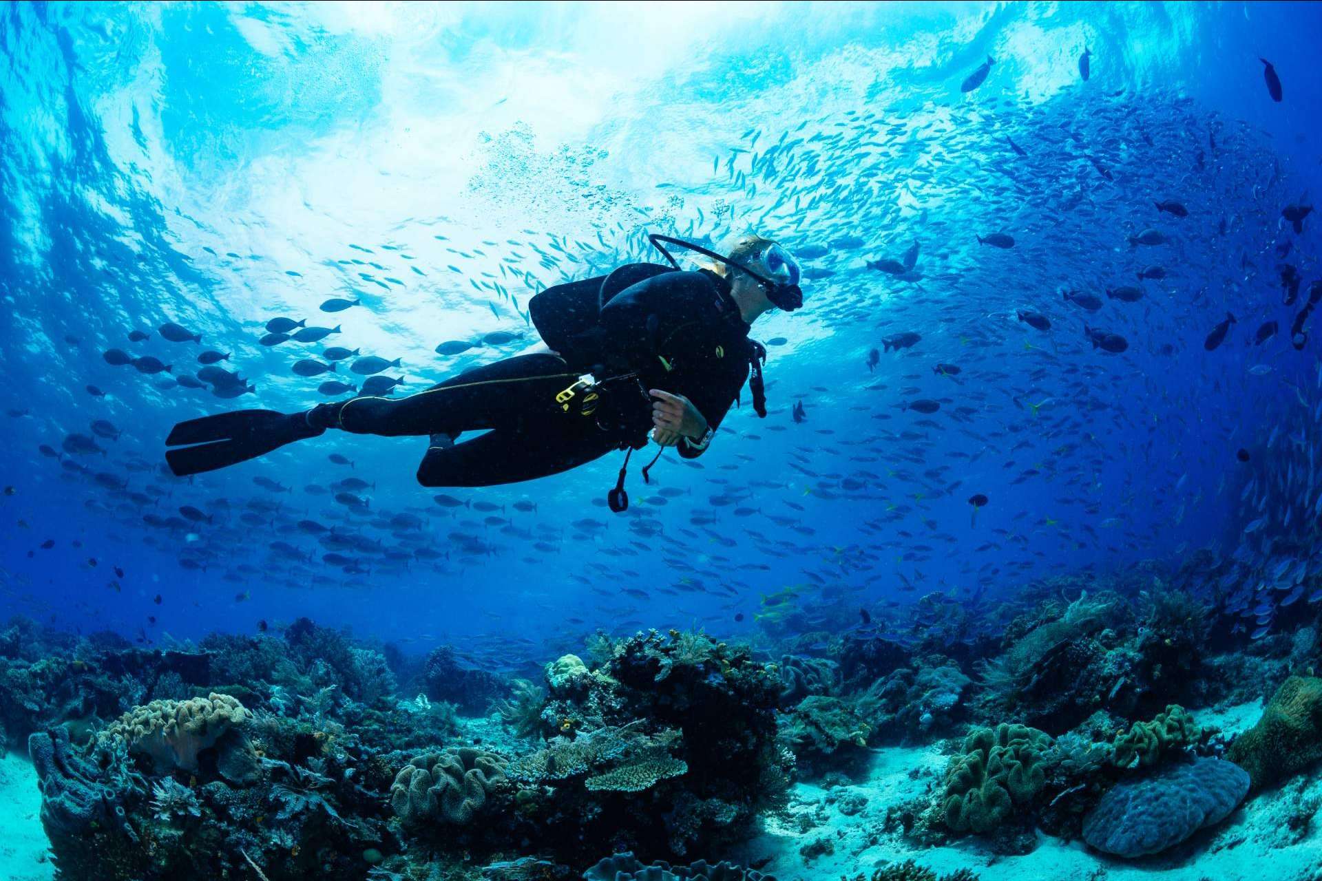 ¿Cómo gestionar el estrés en el buceo con el equipo de Gestión Emocional?