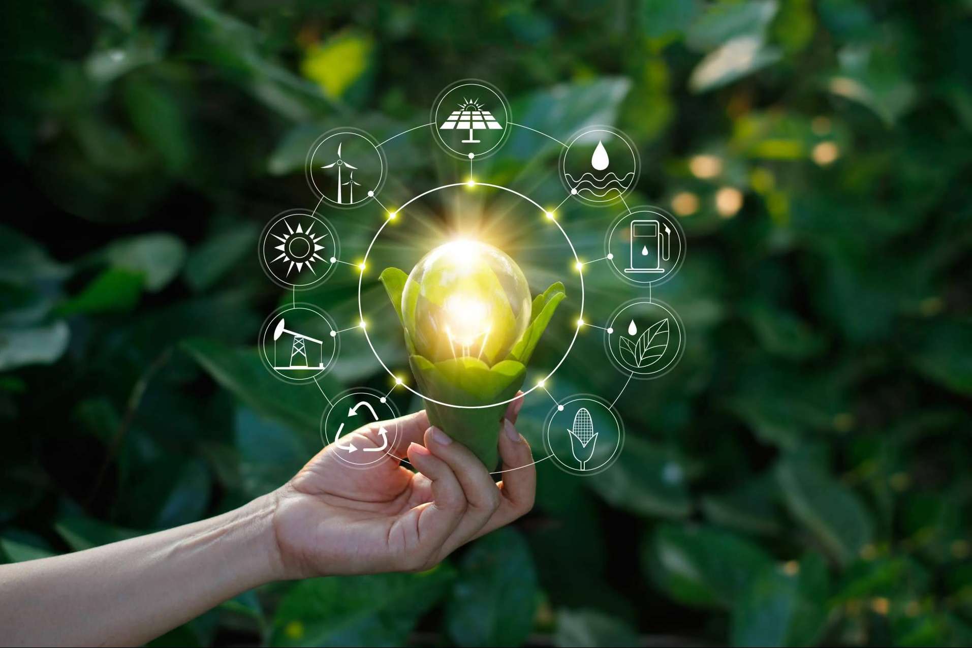 El software propio de Energybox, Hcebox, facilita las opciones de contratación de las empresas