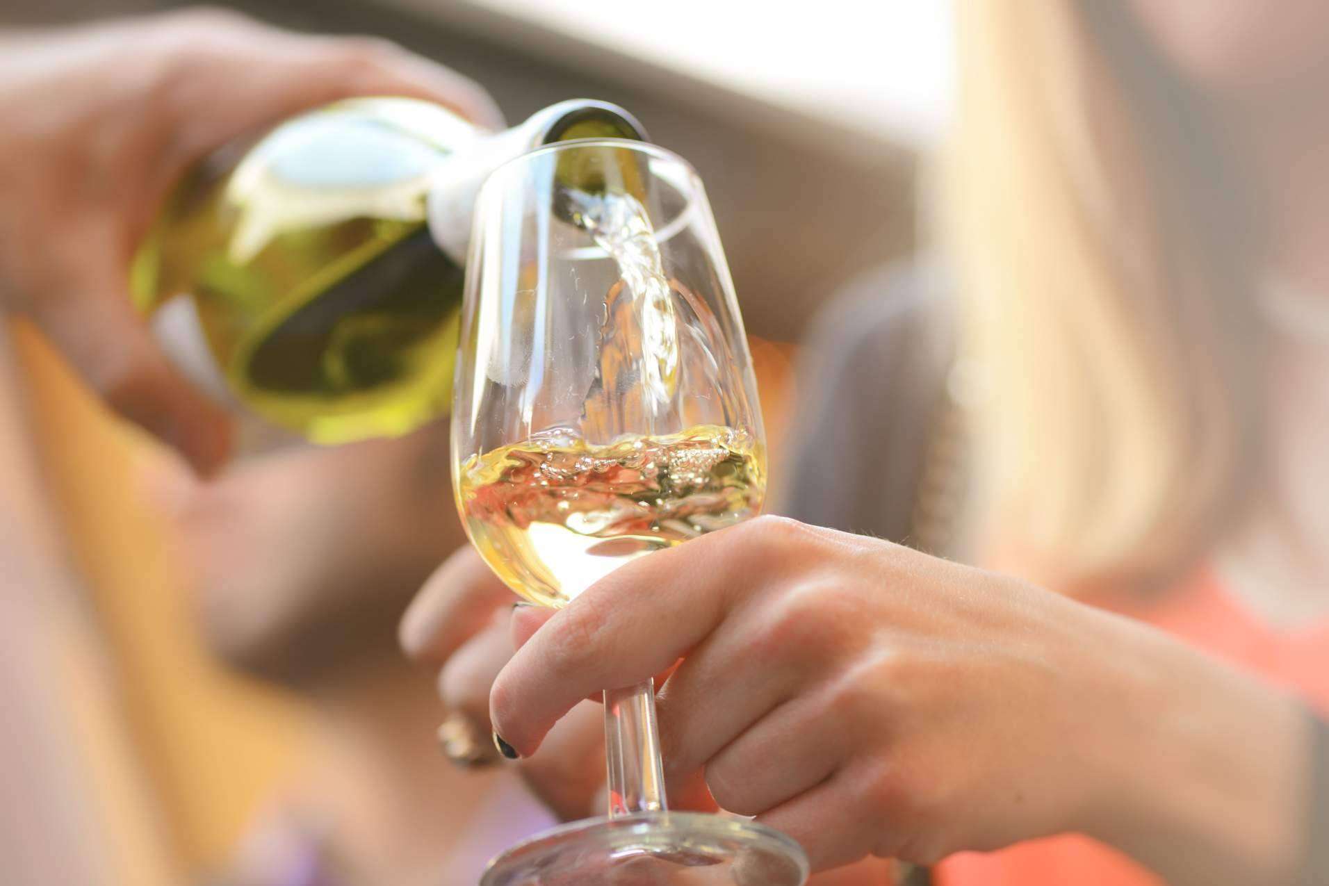 Compartir el vino es un arte: De Gálvez presenta la colección de tendencias