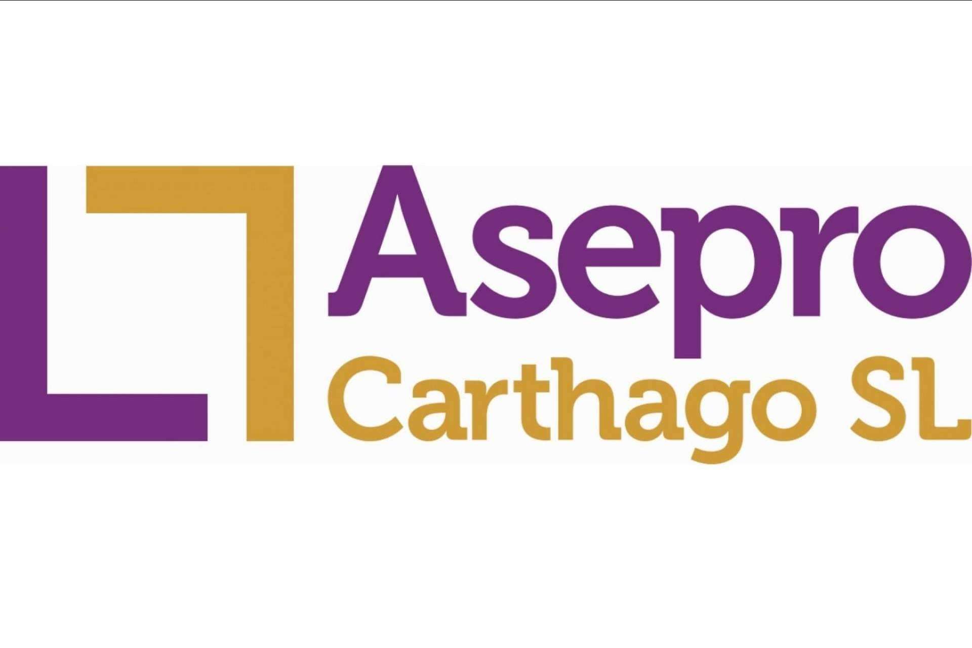 La importancia de la contabilidad para la gestión de un negocio, por Asepro Carthago