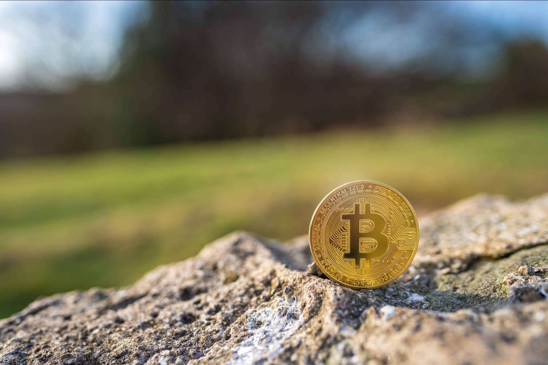 Asesoramiento sobre criptomonedas e ICO en el Reino Unido de la mano de Ltd24Ore