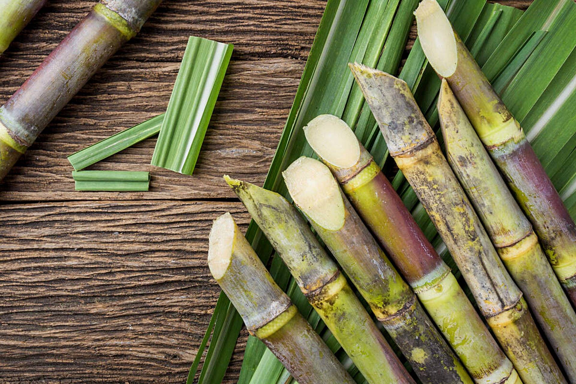 CAÑAPACK, la revolución del packaging sostenible que fomenta el respeto hacia el medioambiente