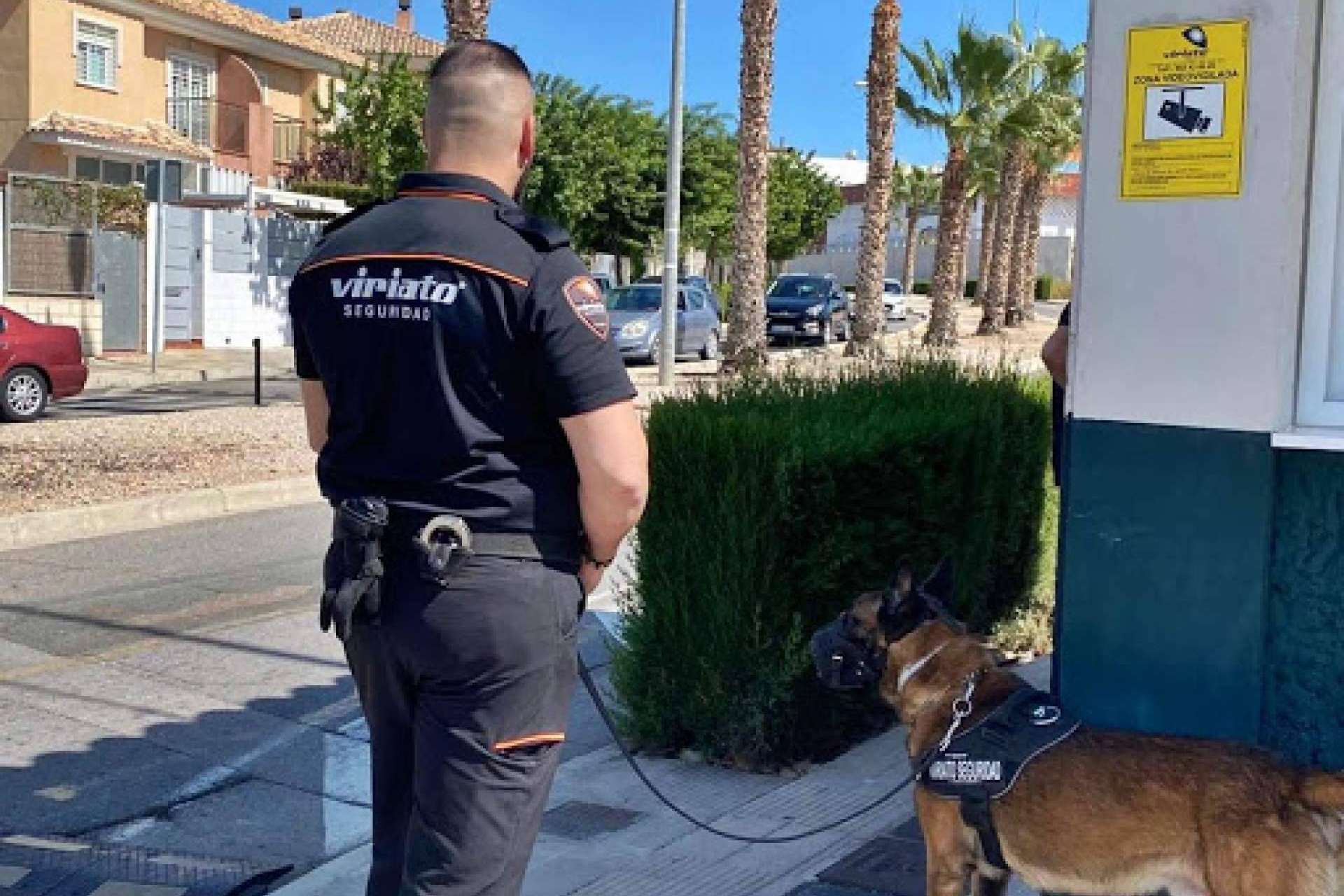 Máxima seguridad y protección para hogares, comercios y empresas con el servicio anti-intrusión de Viriato Seguridad