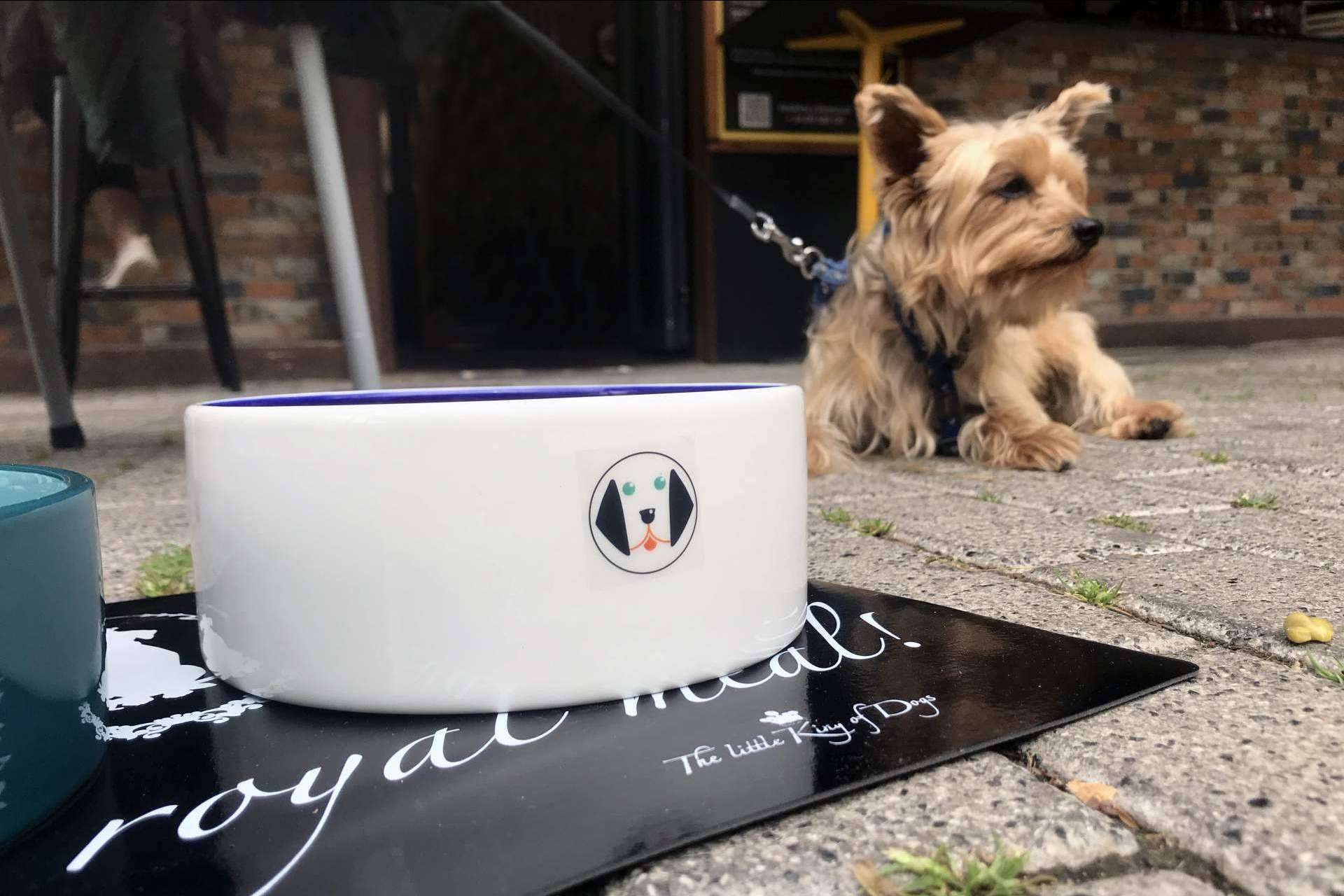 Valencia Startup Market, las mascotas como protagonistas en una de las propuestas más innovadoras