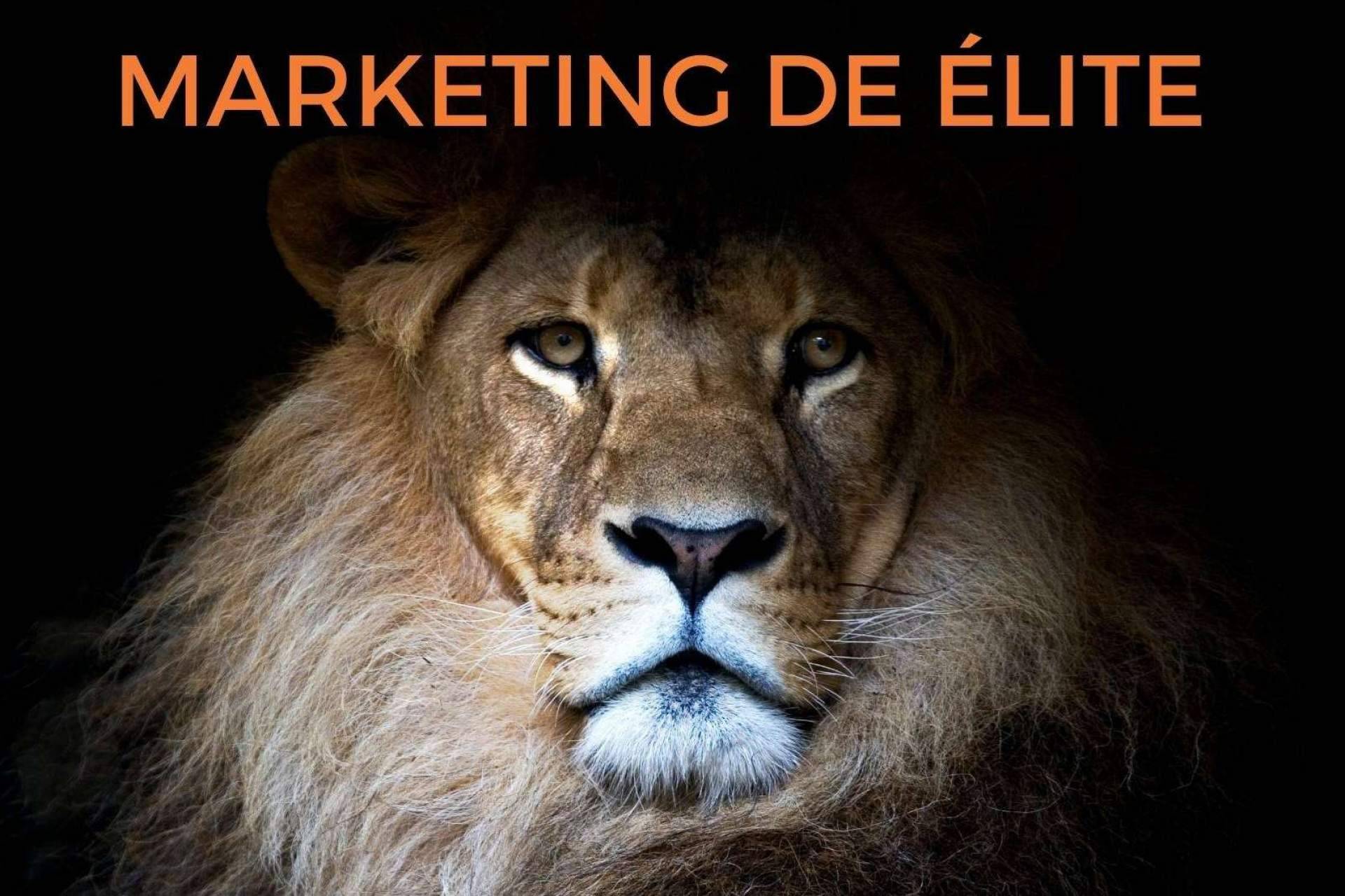 El nuevo libro del León de Ventas se titula Marketing de Élite