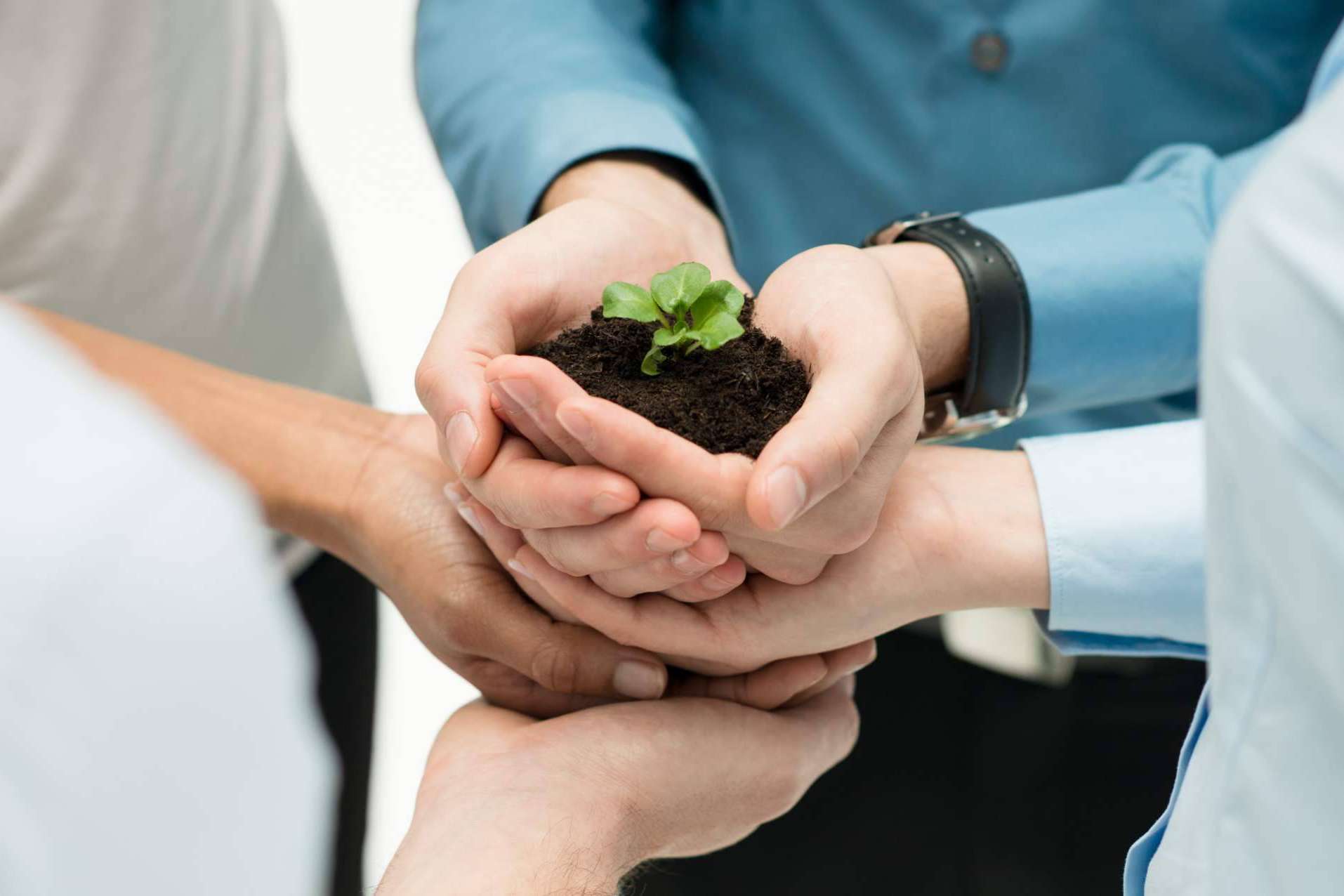 Ipostar recalca la importancia de la responsabilidad ambiental empresarial