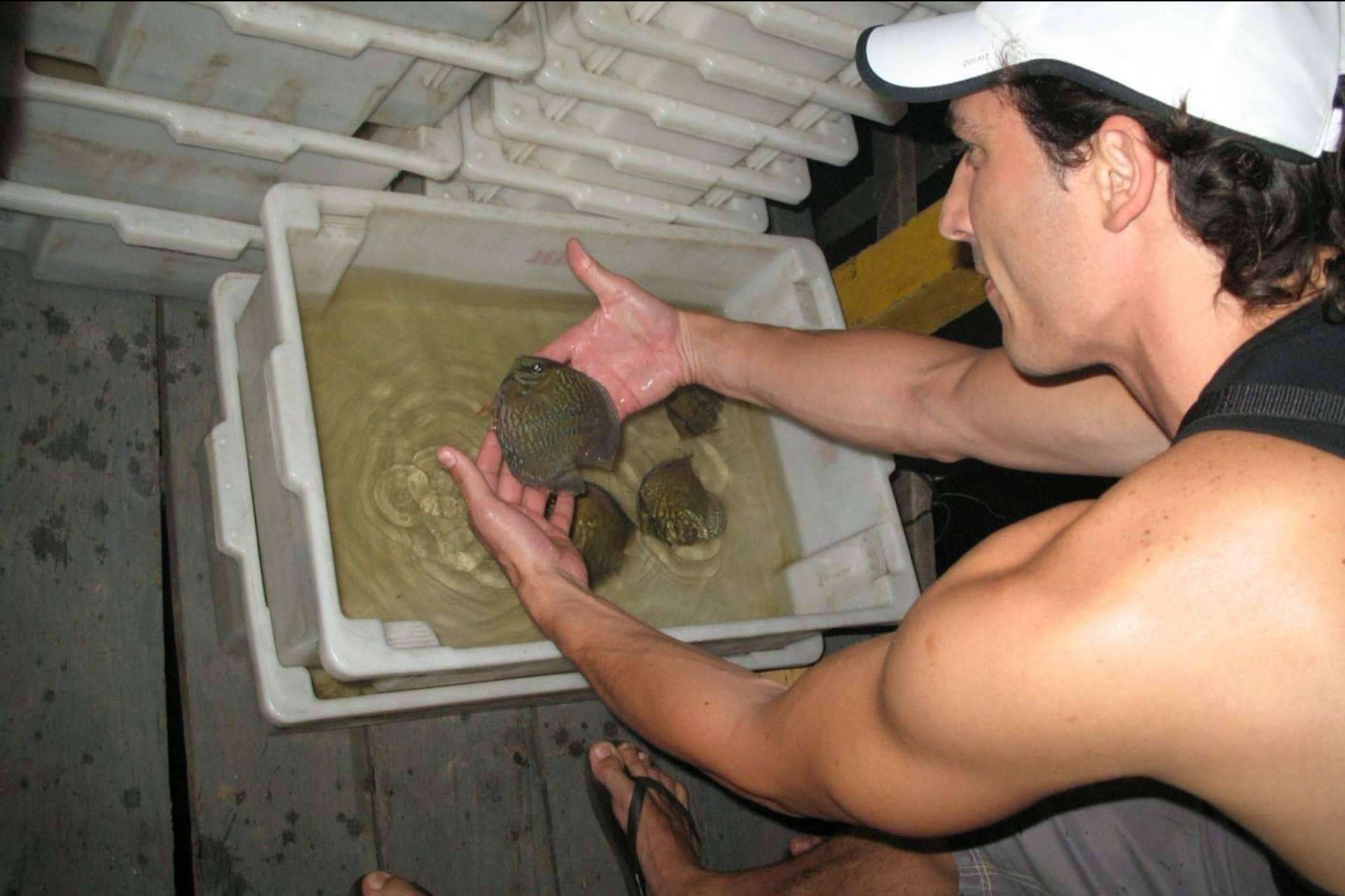 La biodiversidad acuática comienza su regeneración