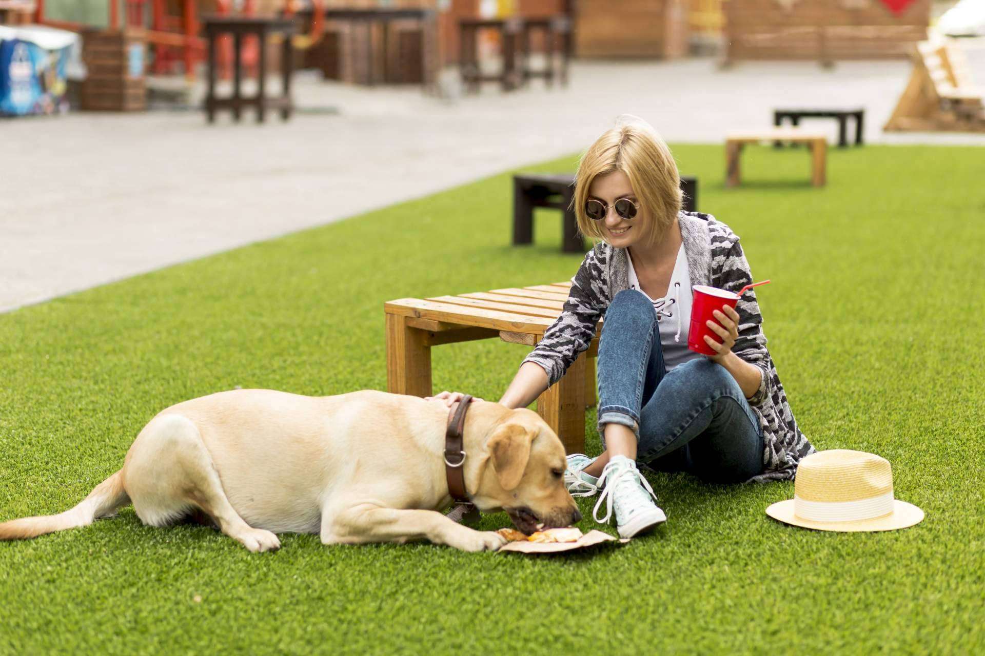 De Tapas con Mi Perro, la start-up que fomenta la inclusión de las mascotas y sus familias en locales y actividades de ocio