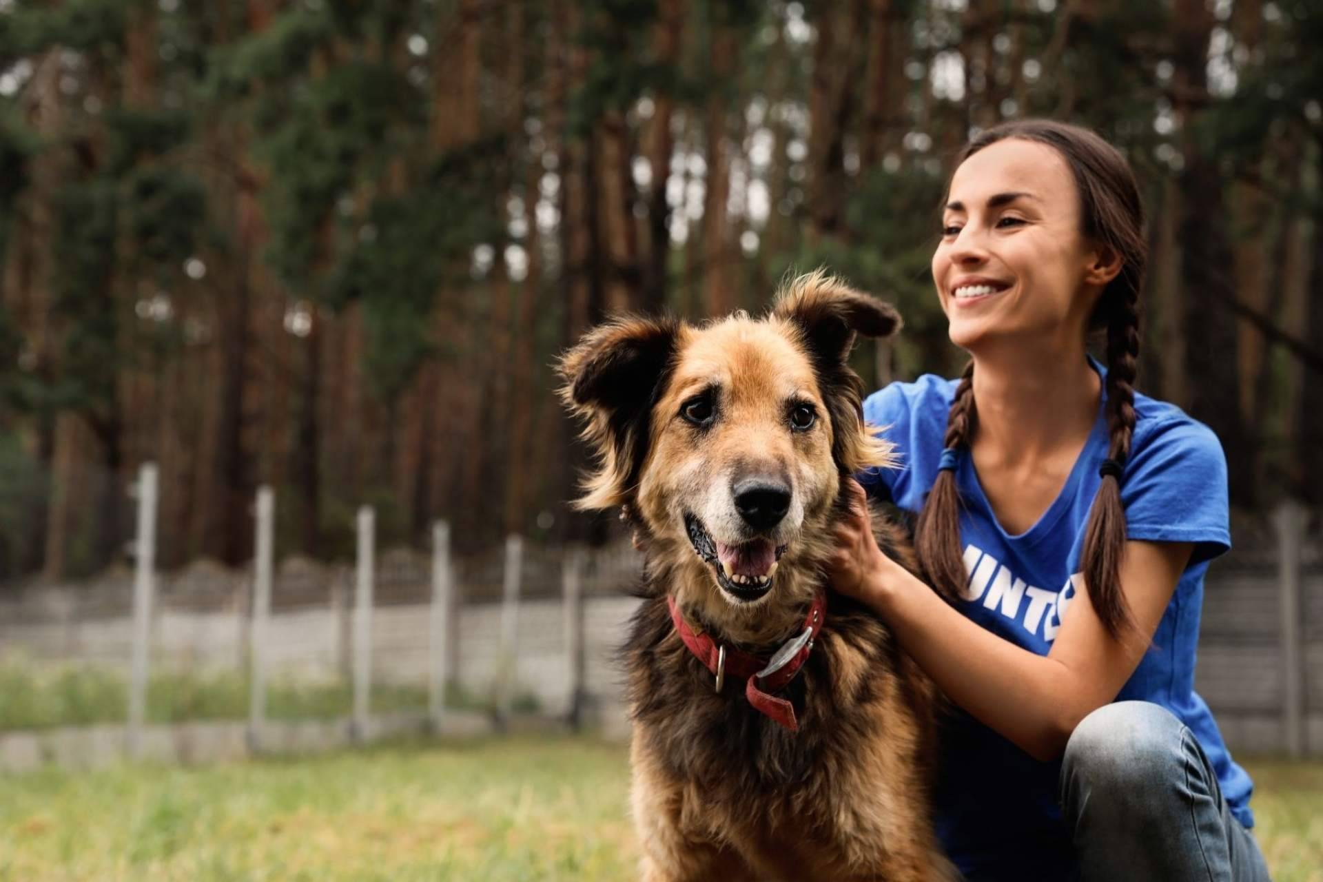 El buscador de animales en adopción Adopta Un Animal