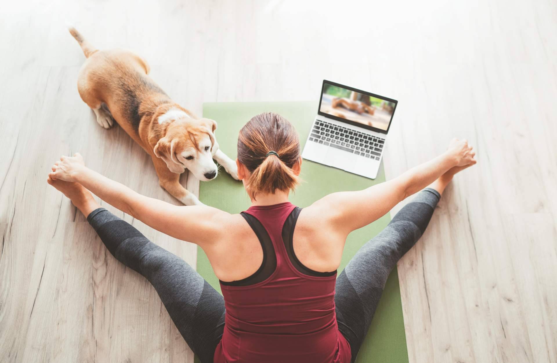 Diferentes cursos online para profundizar en el yoga, según Profesorado de Yoga