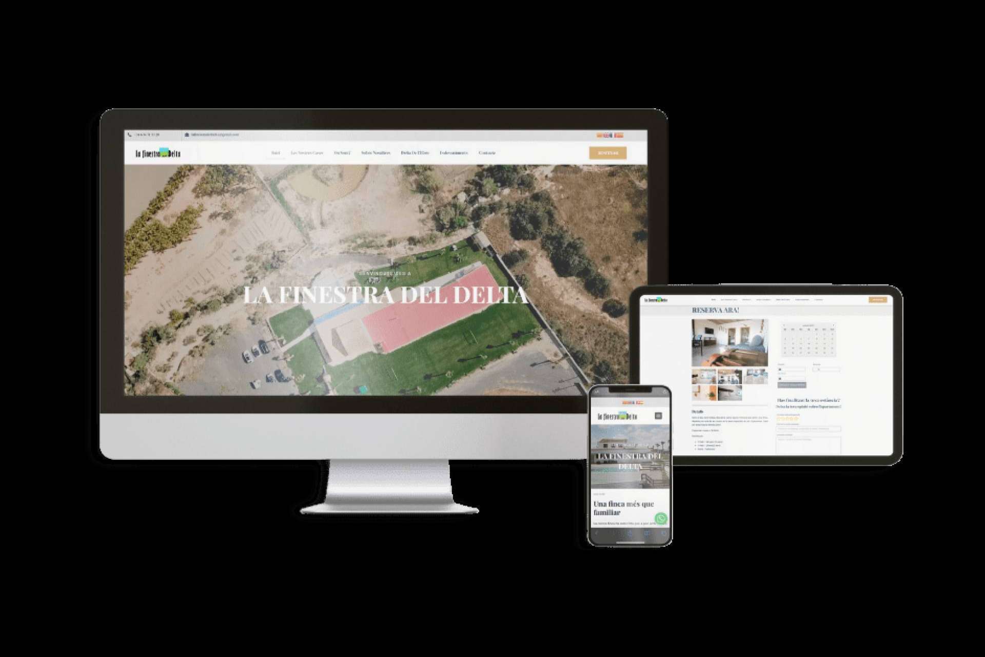 Las ventajas del servicio de diseño web de IPM Projects