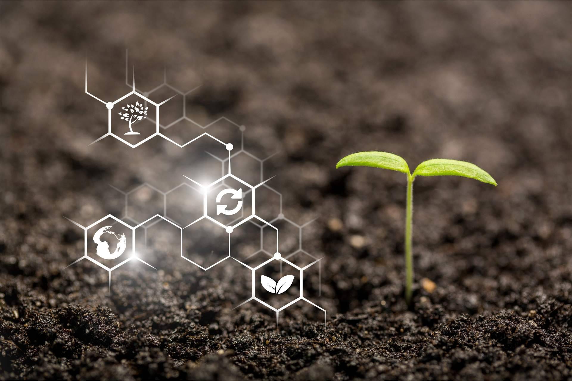 Agricultura inteligente gracias a la internet de las cosas