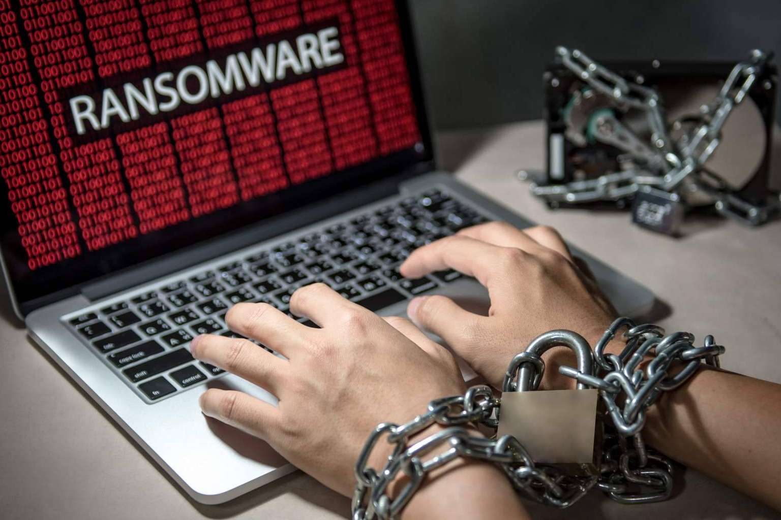 Proteger la información con Micopia.online y sus copias de seguridad