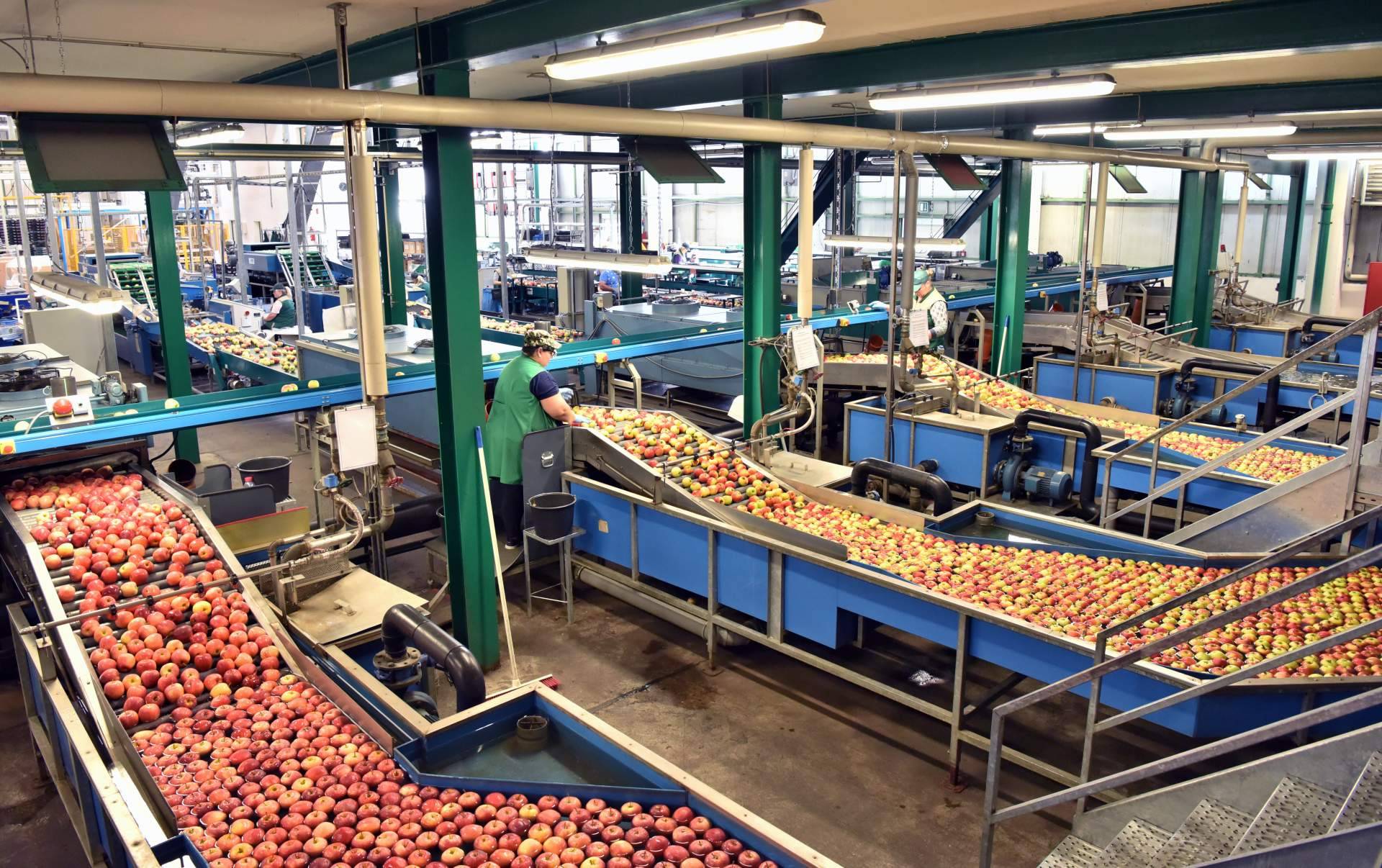 En las empresas alimentarias, la limpieza y desinfección de las instalaciones son de vital importancia