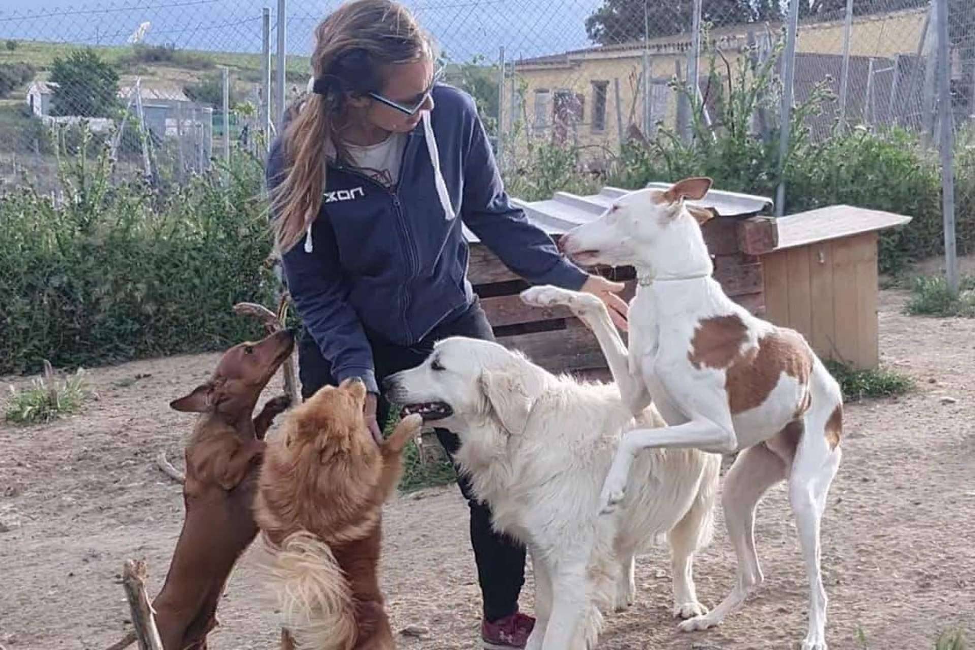 PERROBUENO se centra en hacer felices a los perros