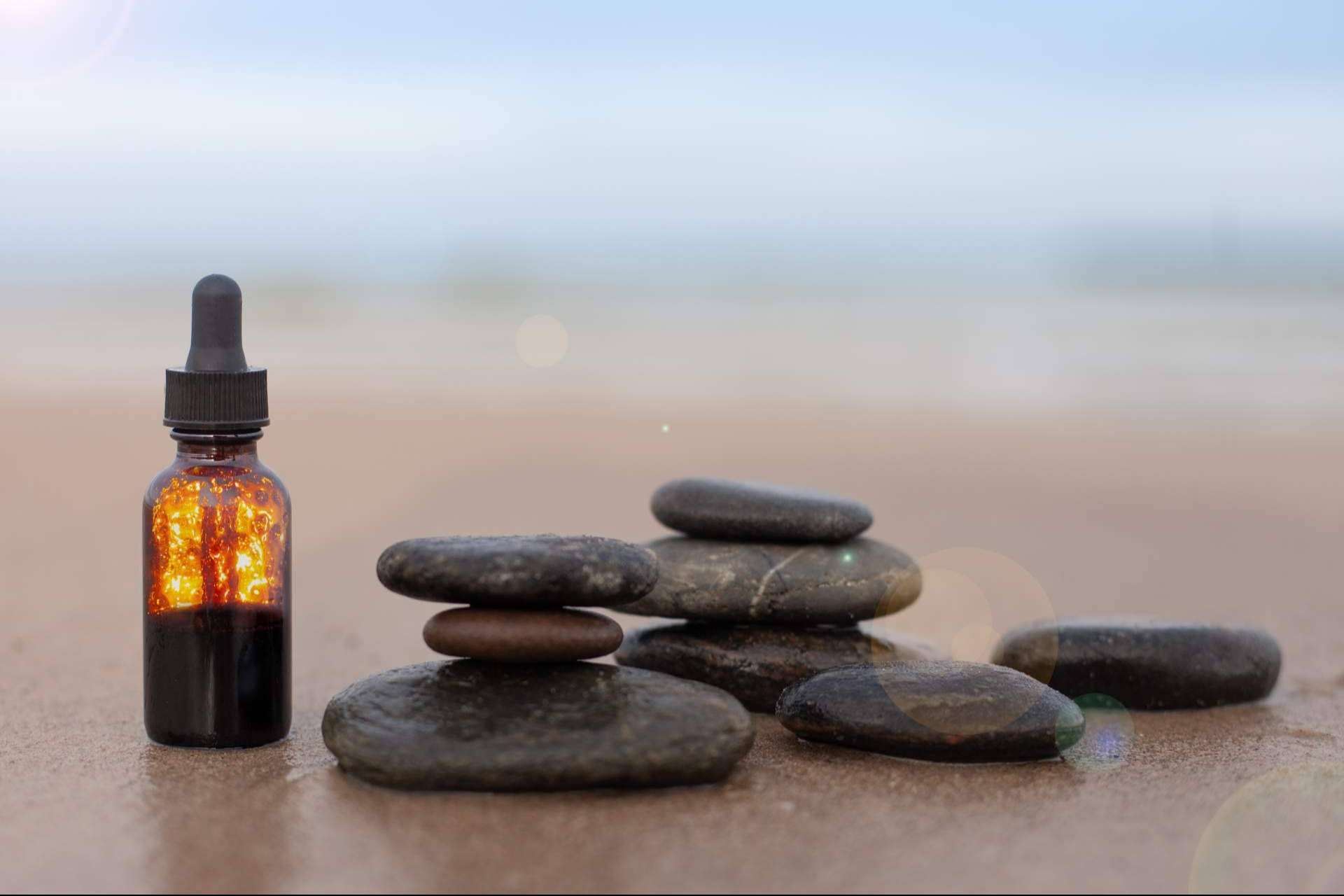 ¿Qué es la fitoterapia?, un elemento básico de la naturoterapia