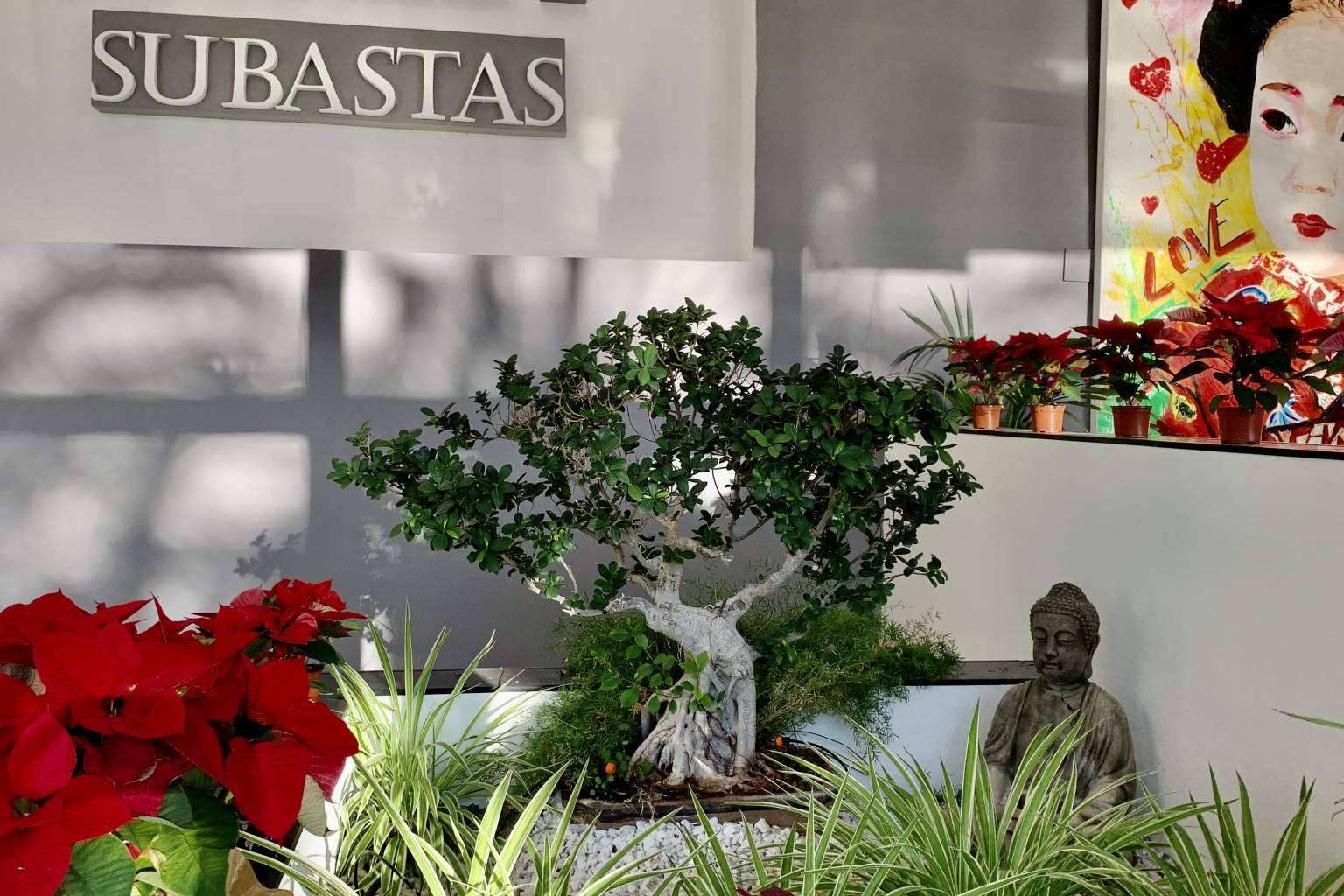 Subastas Darley, la casa de subastas de ámbito nacional e internacional