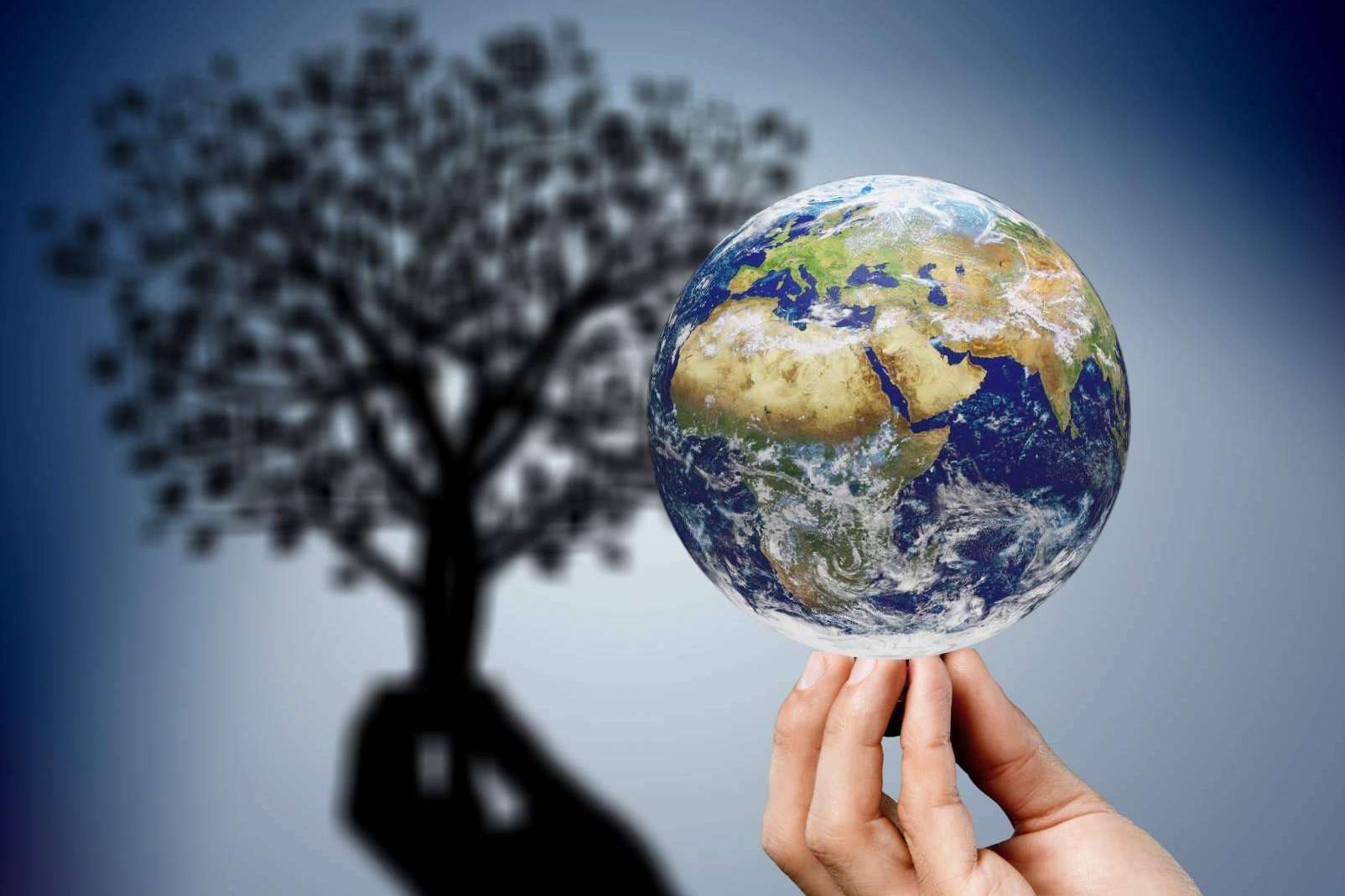 El valor de marcar objetivos de sostenibilidad ambiental en las empresas