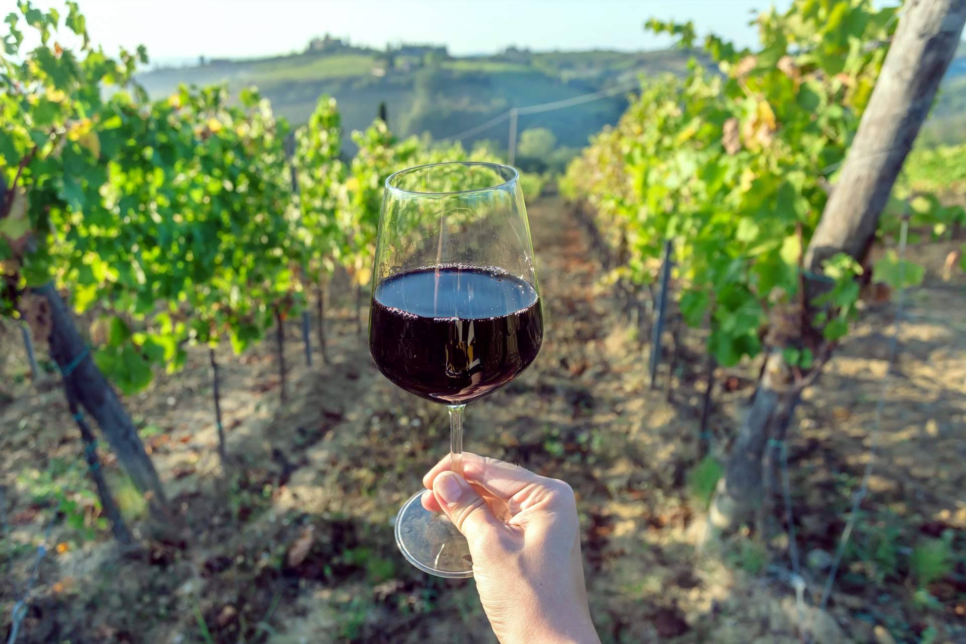 Your Wine at Home ofrece vinos ecológicos de calidad que cuidan el ambiente
