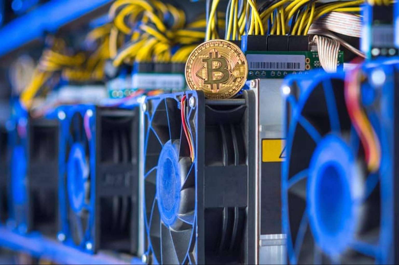 El servicio de renting tecnológico para la minería de criptomonedas de Mineros de Criptomonedas