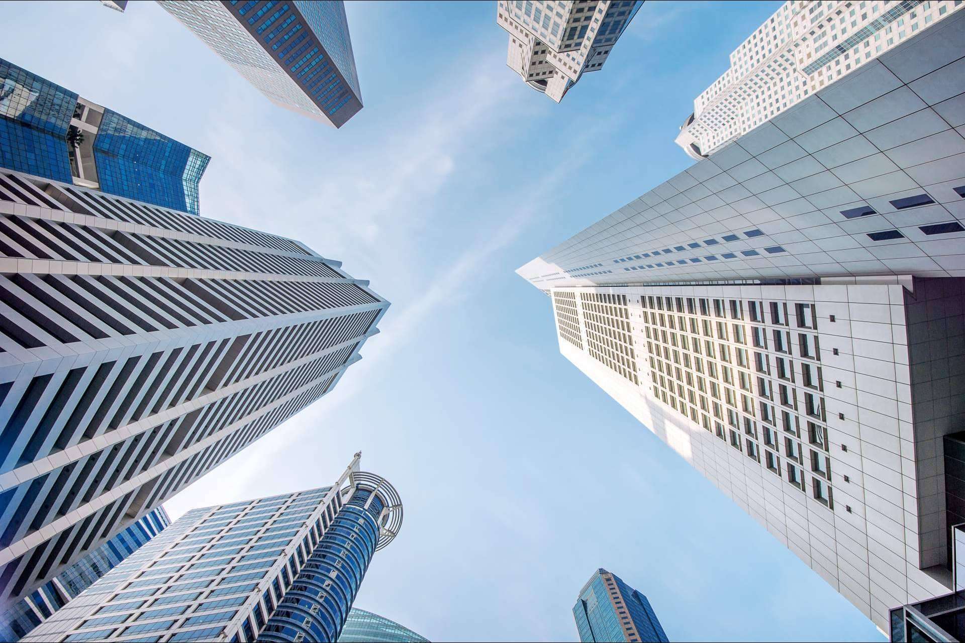 BirdCapital, la financiación alternativa empresarial como solución financiera a medida