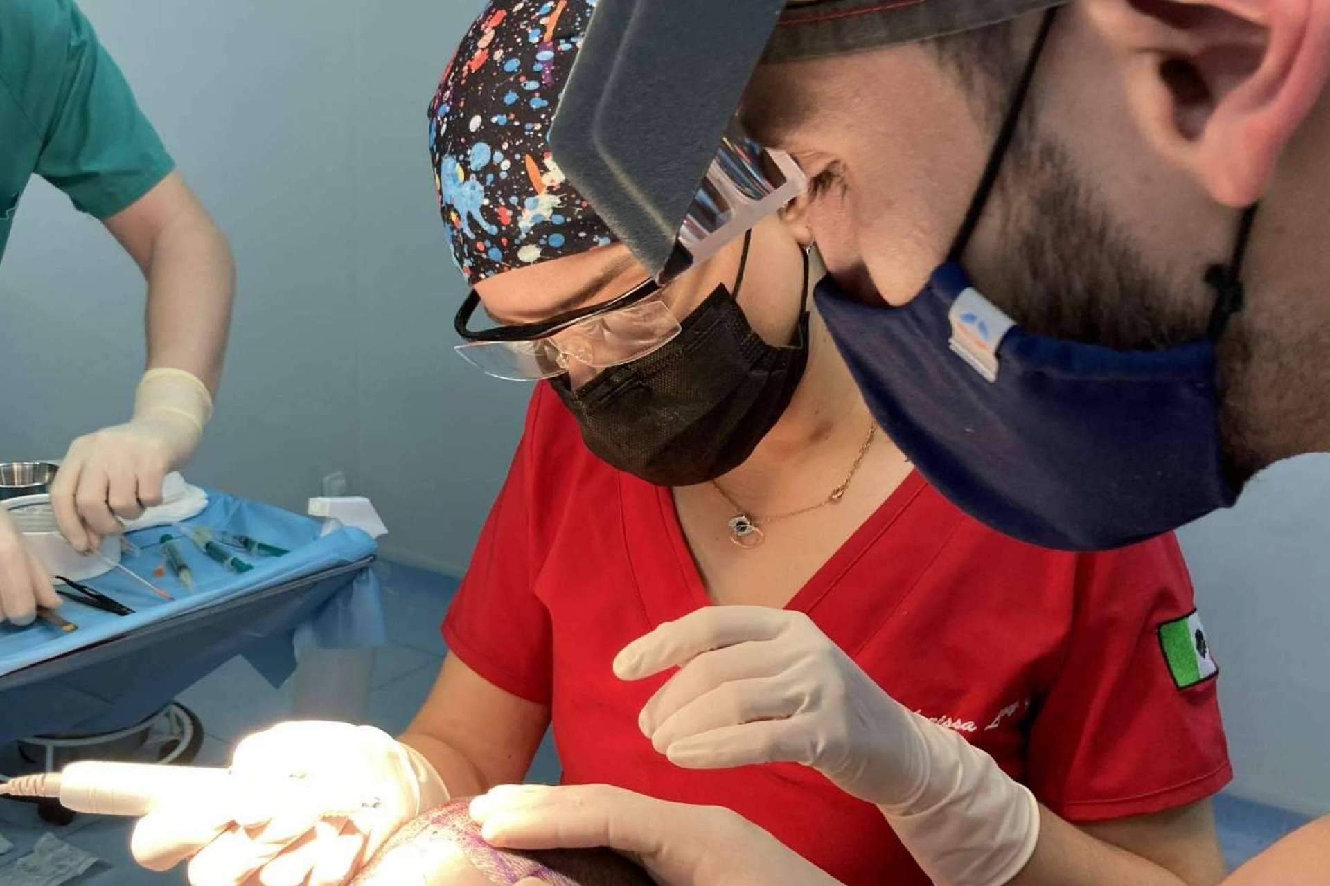 El destacado profesorado del Máster FEMEL en cirugía capilar