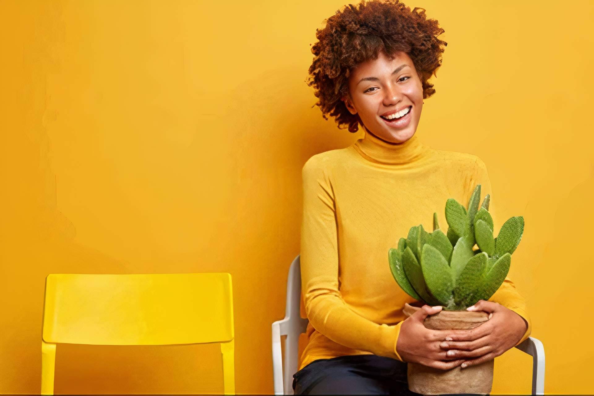 Cómo decorar con los distintos tipos de cactus