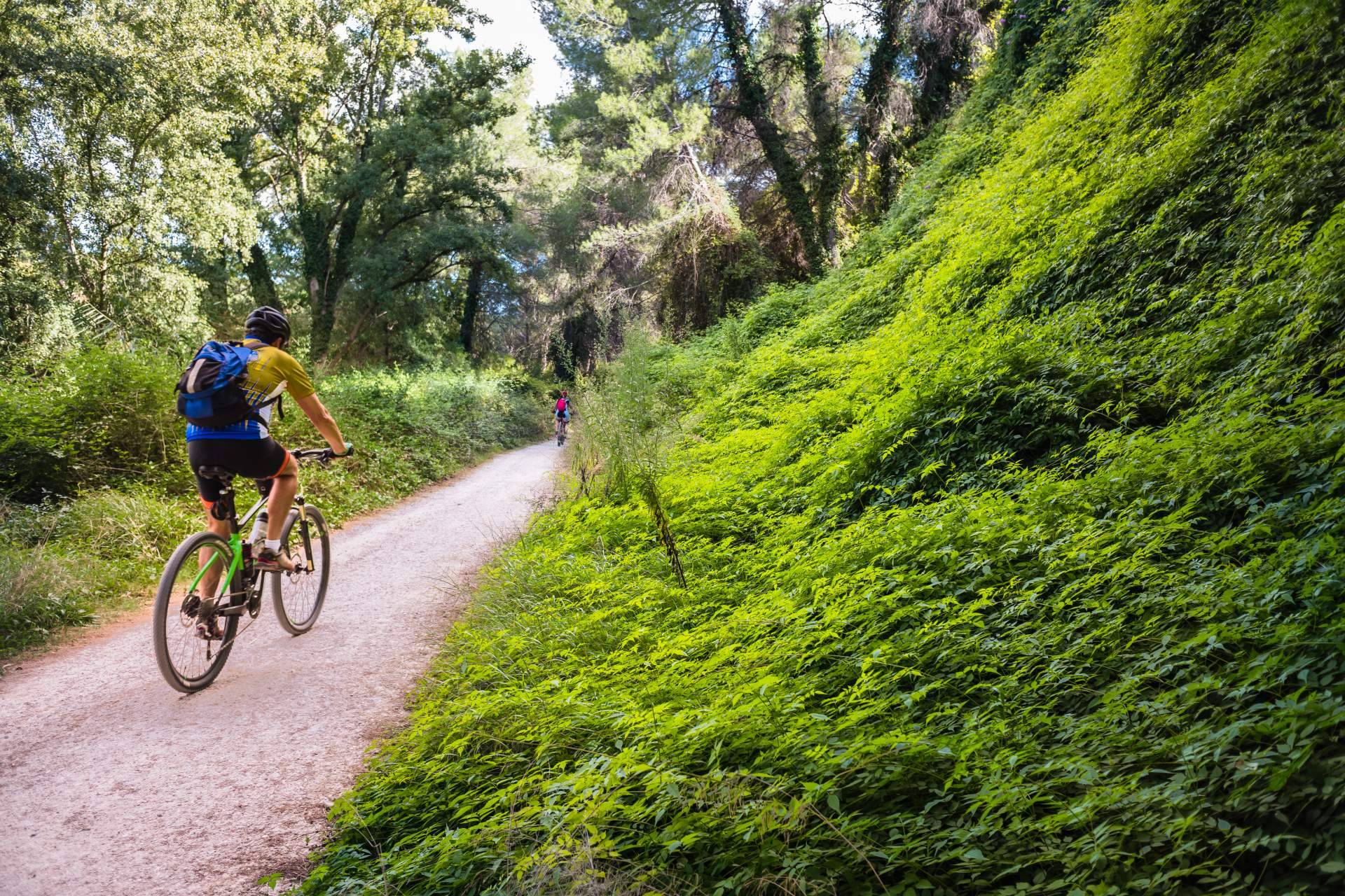 Bikefeelings ofrece el alquiler de bicis de gama alta