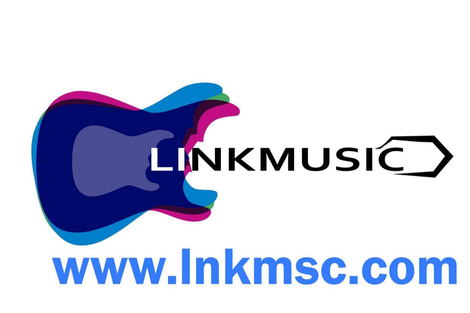 LinkMusic, una plataforma que da voz a artistas emergentes