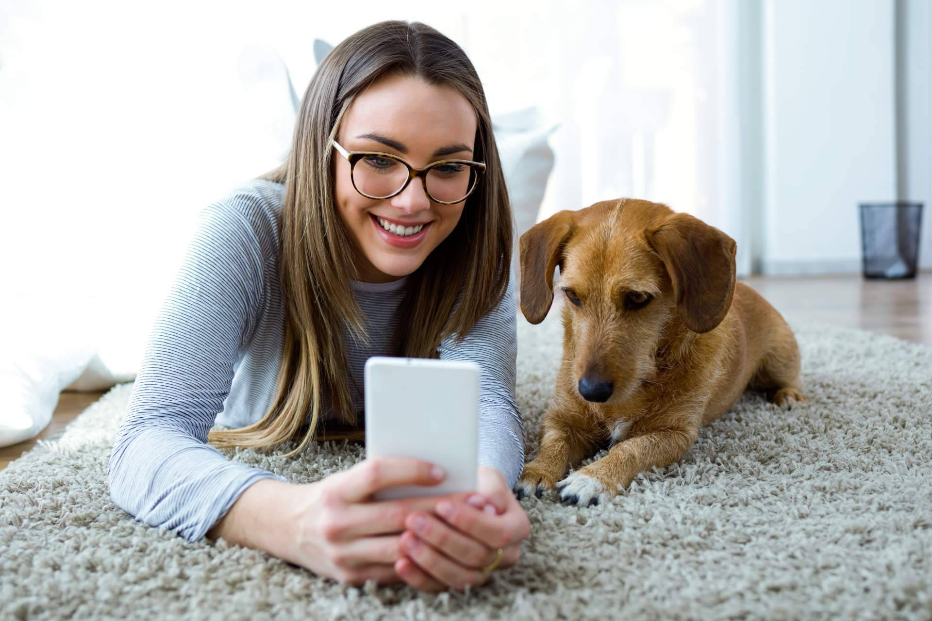 Formación para reforzar vínculos con los animales de compañía, en Antrozoología.com