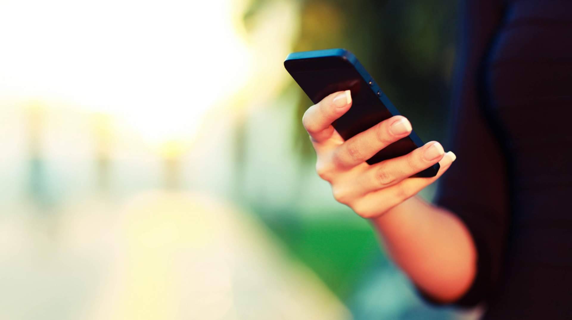 Planificar y optimizar rutas con la ayuda de la app Ant-Kurier